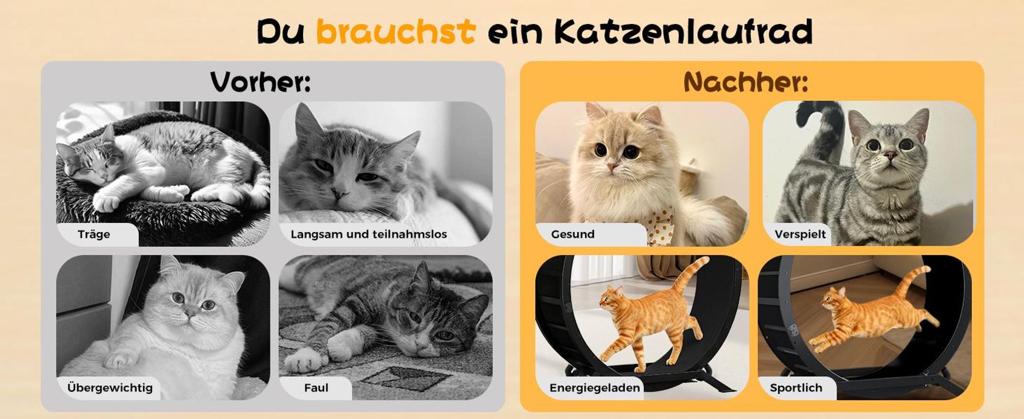 COMHOMA Katzenlaufrad, laufrad Katze, Extra großer 100 cm, ultraleises Laufrad mit Abnehmbarer Teppich und Spielzeug, Aufkleber, Dunkelschwarz