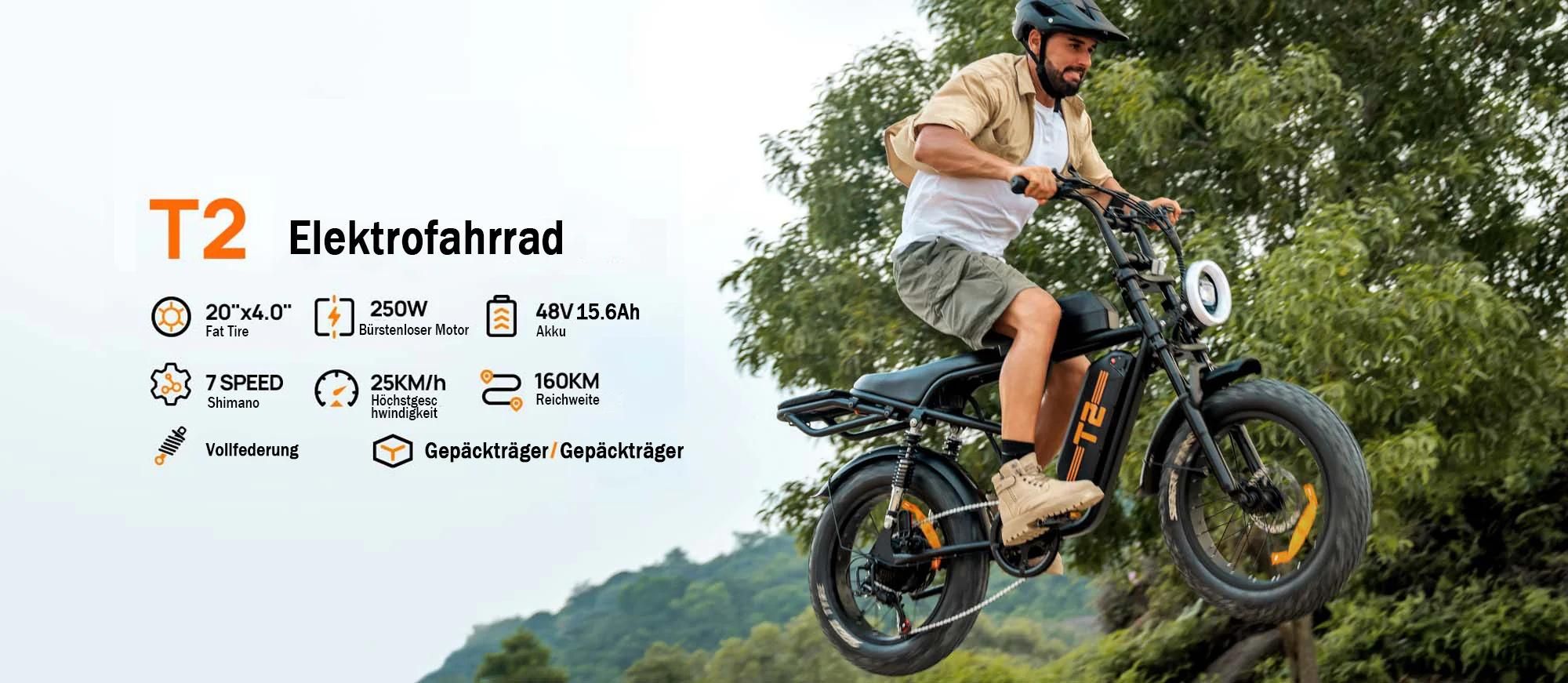 URLIFE T2 Elektrisches Fahrrad - Motor250W Batterie 48V 15.6Ah mit Scheibenbremse Trittunterstützung - Schwarz
