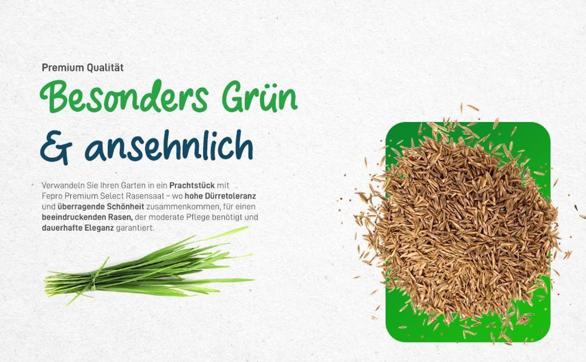 20kg Premium Rasensamen für Profis 800m², Zierrasen Superrasen, besonders dichtwachsend und tiefgrün, ideal für Neuansaat und Nachsaat, Rasensaat Grassamen