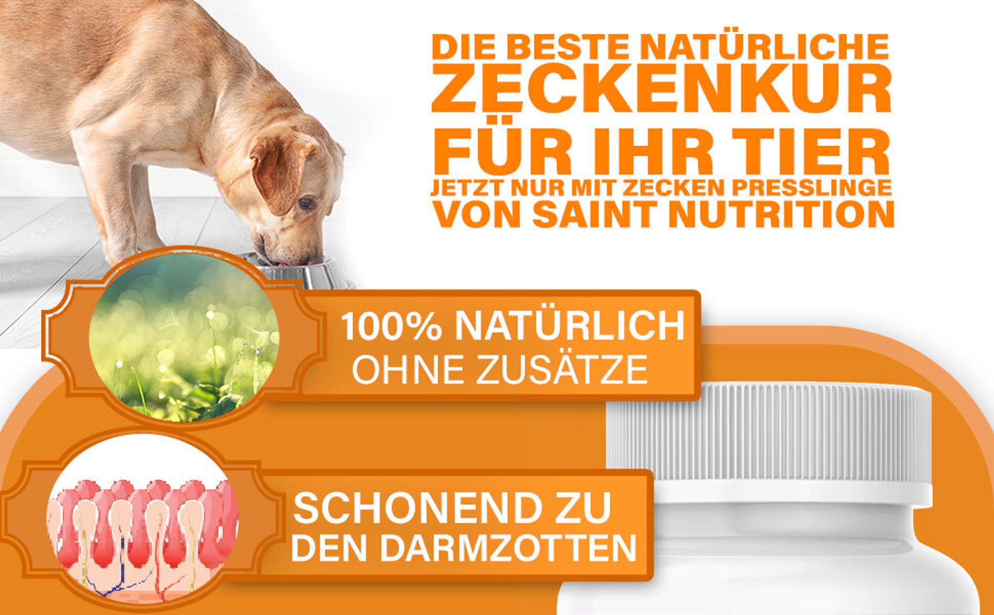 Saint Nutrition® Zecken+ Presslinge – zum Schutz vor Zeckenbefall – für Hunde und Katzen – Zeckenschutz Hund – Zeckentabletten – Zeckenmittel