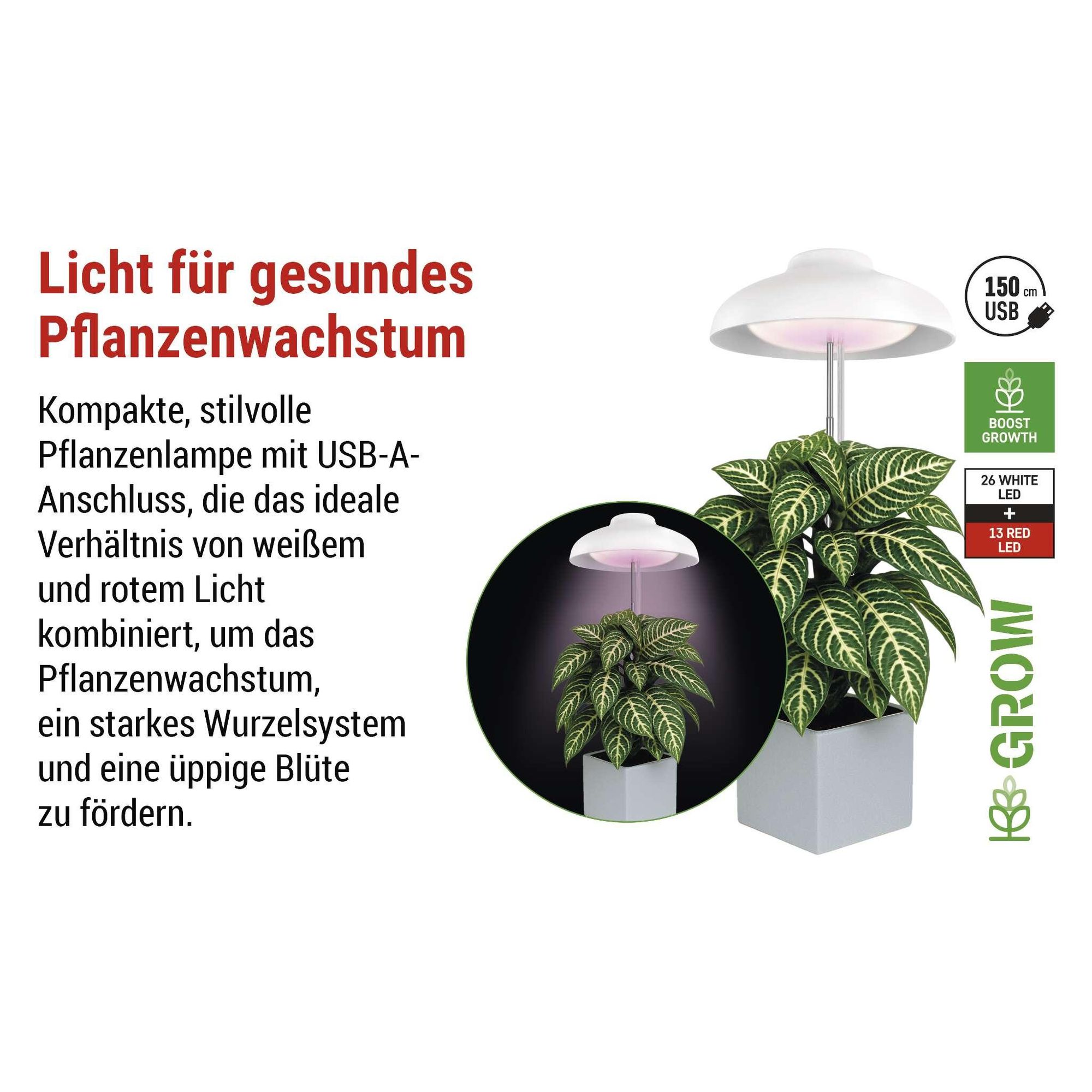 EMOS LED-Grow-Lampe für Zimmerpflanzen und Sukkulenten, Wachstumslampe in Schirm-Design mit Timer, höhenverstellbar, 235lm, 1,5m USB-Kabel, Z7901