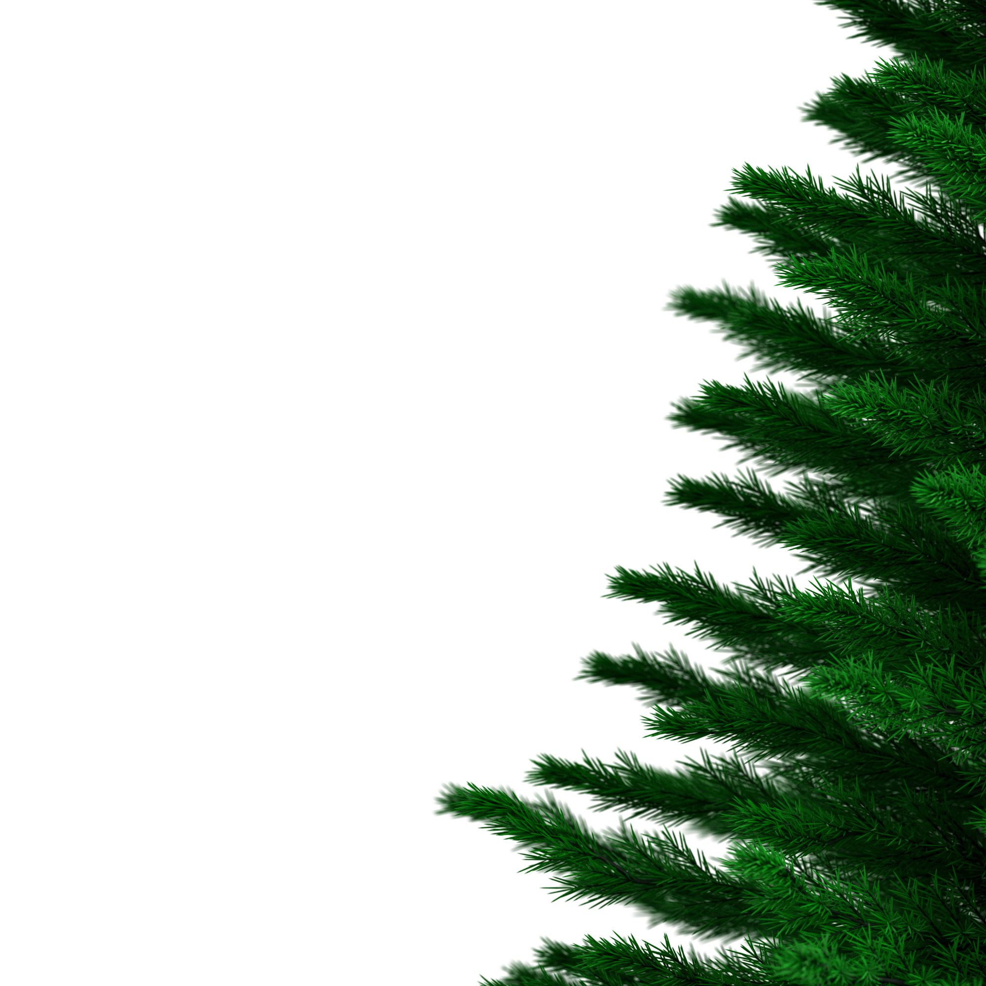 CASARIA® Weihnachtsbaum künstlich 180cm wie echt Edeltanne Spitzguss Metallständer Aufbauschneller Weihnachten Tannenbaum Christbaum Grün 780 Spitzen