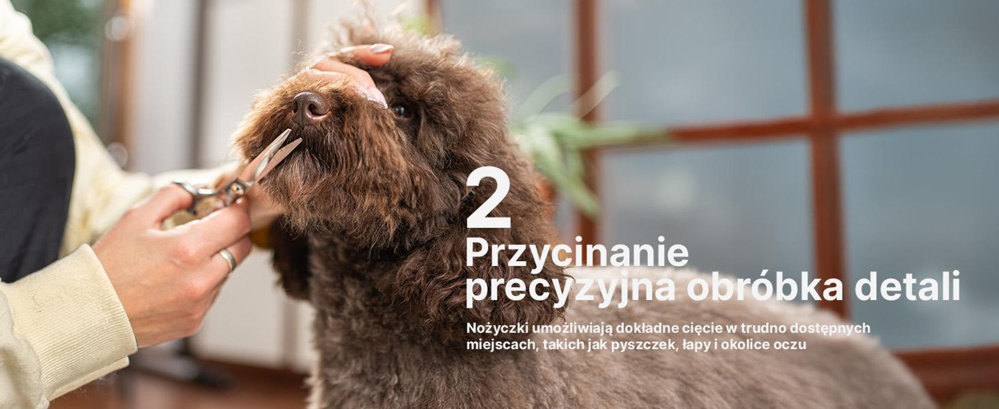 Maszynka do strzyżenia psów Maszynka do strzyżenia zwierząt Akumulatorowa maszynka do strzyżenia zwierząt domowych Cicha Profesjonalna Bezprzewodowa