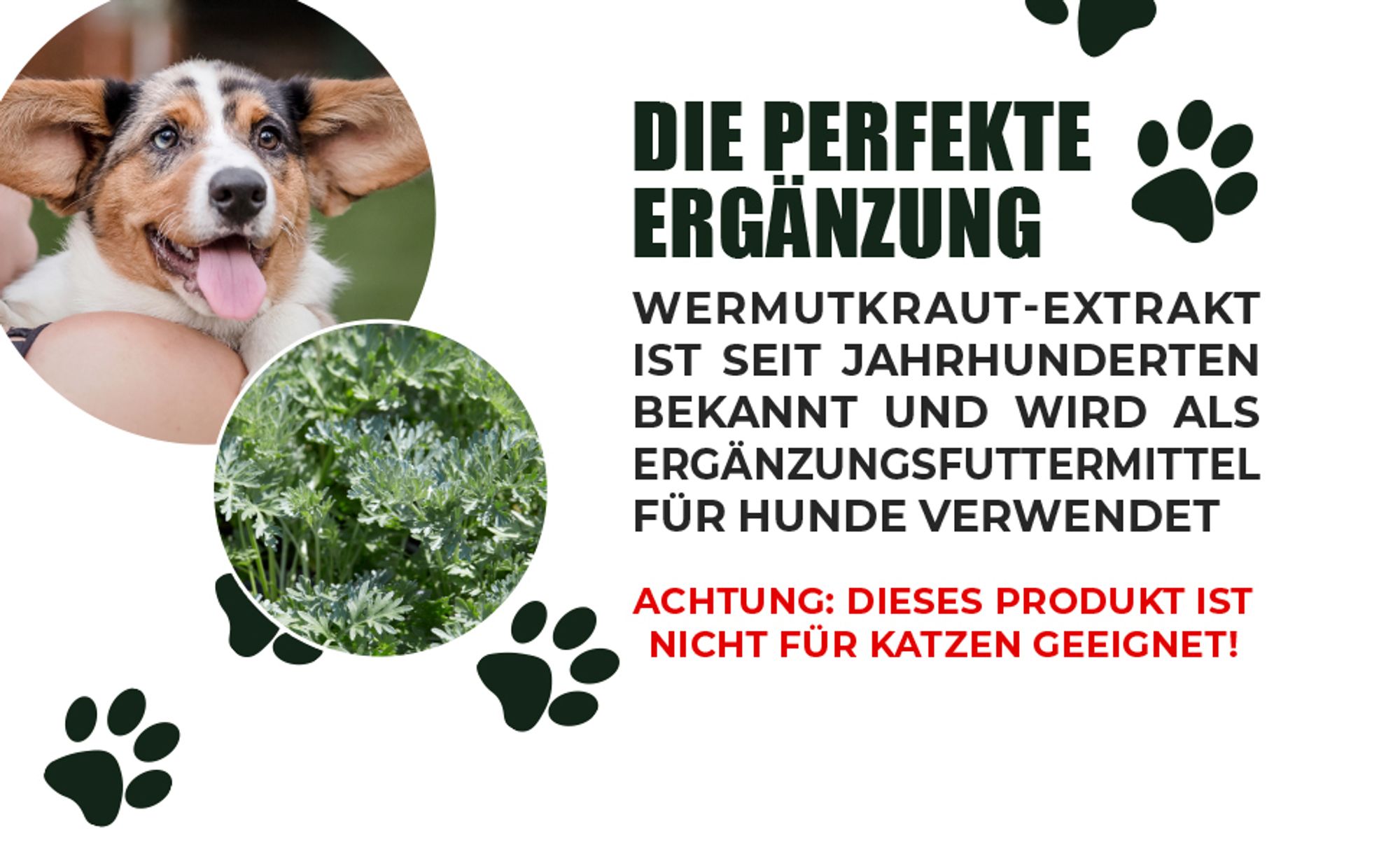 Saint Nutrition® WORMWOOD – Wurmmittеl für Hunde – Wurmkur Hund – Wermut – natürliche Εntwurmung – ohne künstliche Zusätze - nur für Hunde