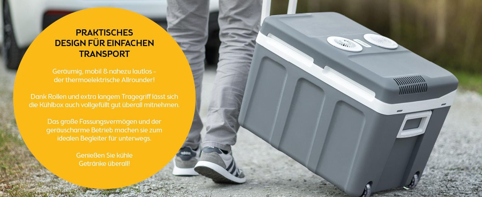 TZS First Austria - Kühlbox 45L elektrisch 12V 230V Anschluss für Auto & Steckdose - Thermoelektrisch - Grau