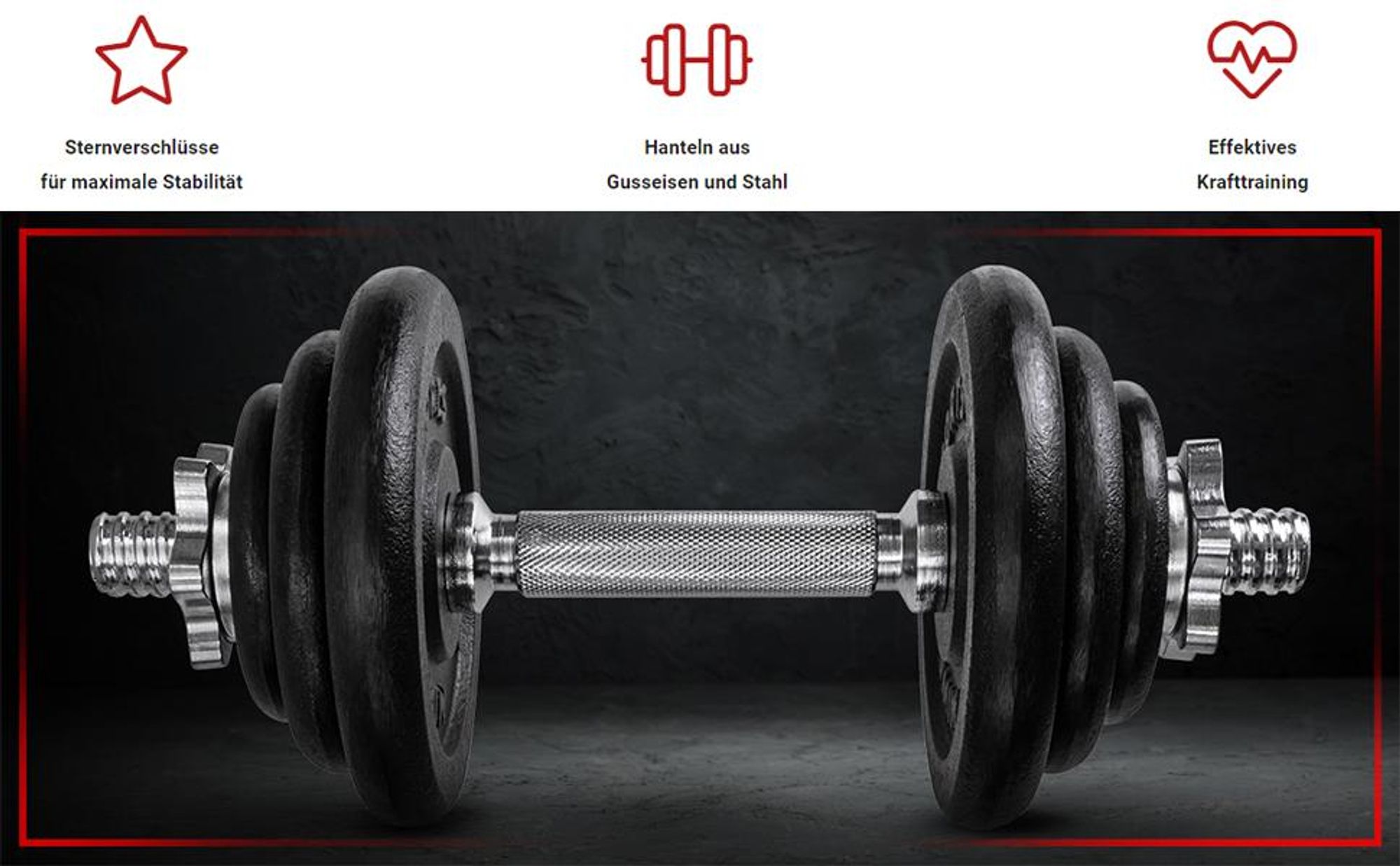 Miweba Sports Hantelset MKH120 | 20 kg - inkl. Kunststoffkoffer - 2x Hantelstange - 4x Sternverschluss - 4x 2,5 kg - 4x 1,25 kg - 4x 0,5 kg (Schwarz)