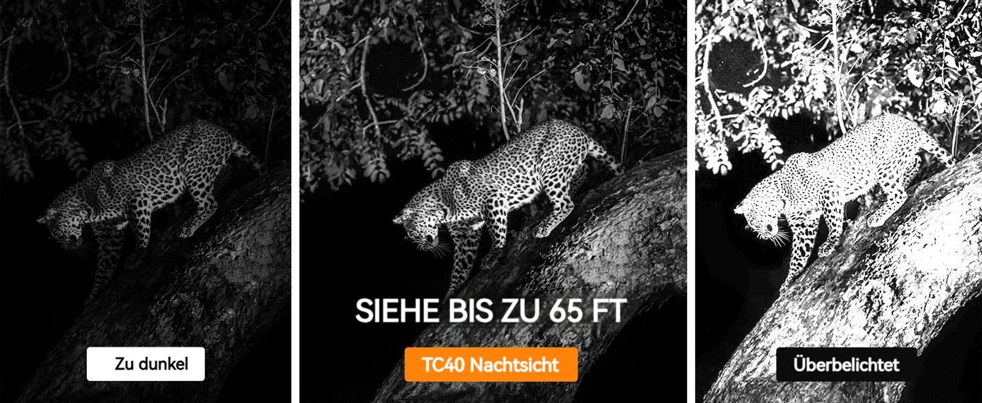 36 Infrarotlampen bei 850 nm verbessern die Nachtsicht