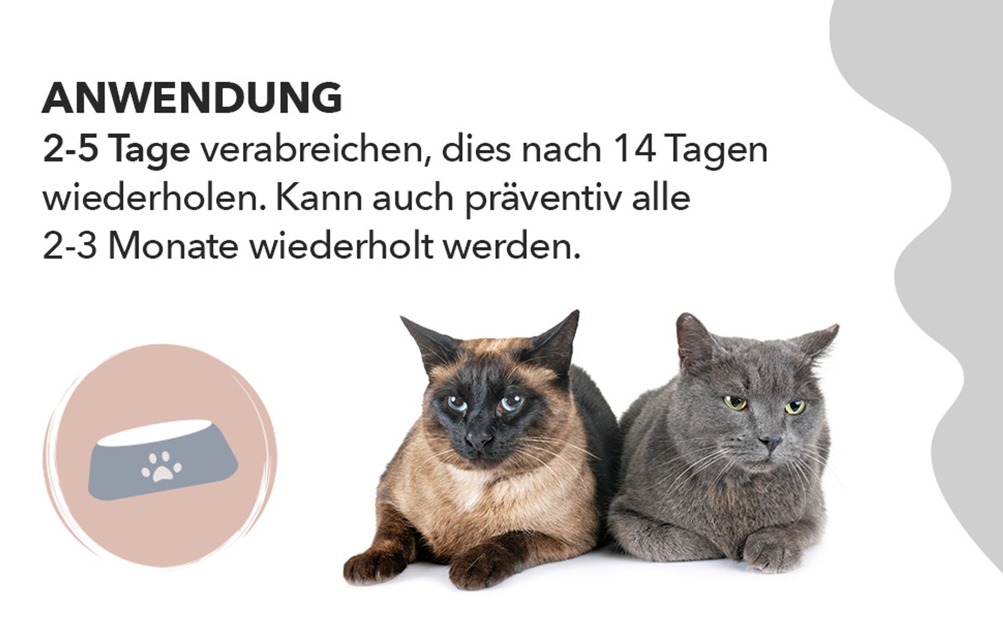 Saint Nutrition® Zeckenix Liquid – zum Schutz vor Zeckenbefall – für Hunde und Katzen – Zeckenschutz Hund – natürliche Formel – Zecken Hund - 50 ml