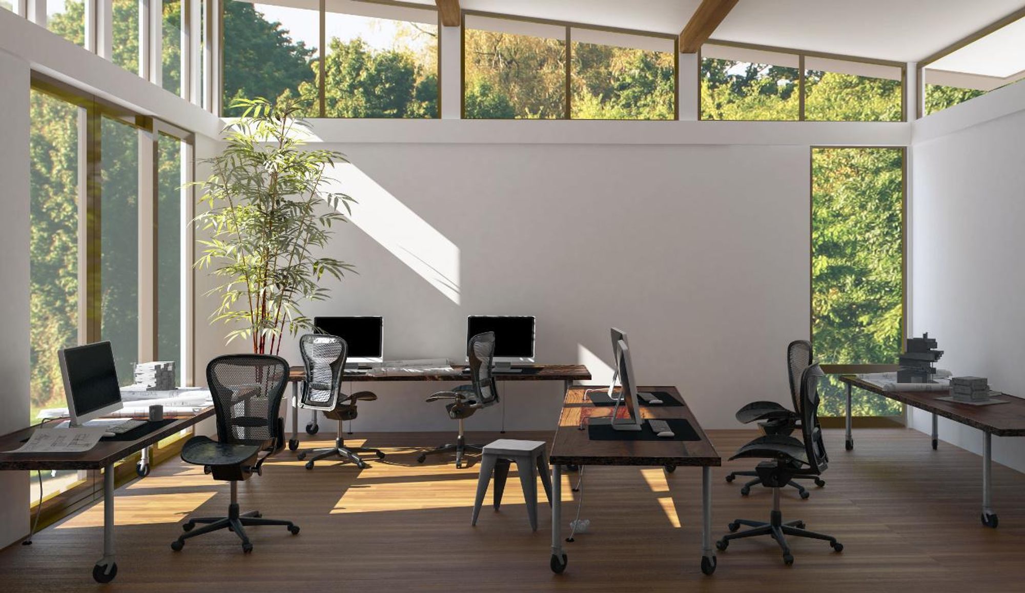 Bureau avec plusieurs postes de travail, hauts plafonds, nombreuses fenêtres et une grande plante