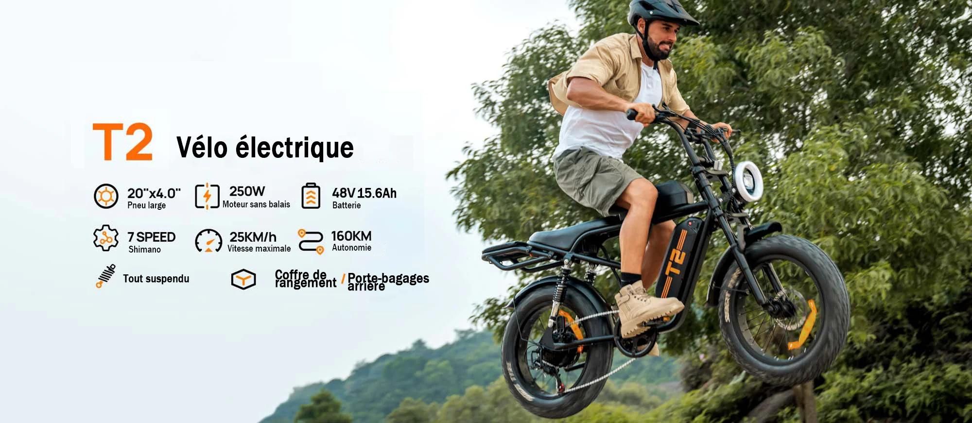 URLIFE T2 Vélo Électrique - Moteur 250W Batterie 48V 15.6Ah Pédalier assisté Freins à disque - NoirFreins à disque - Noir