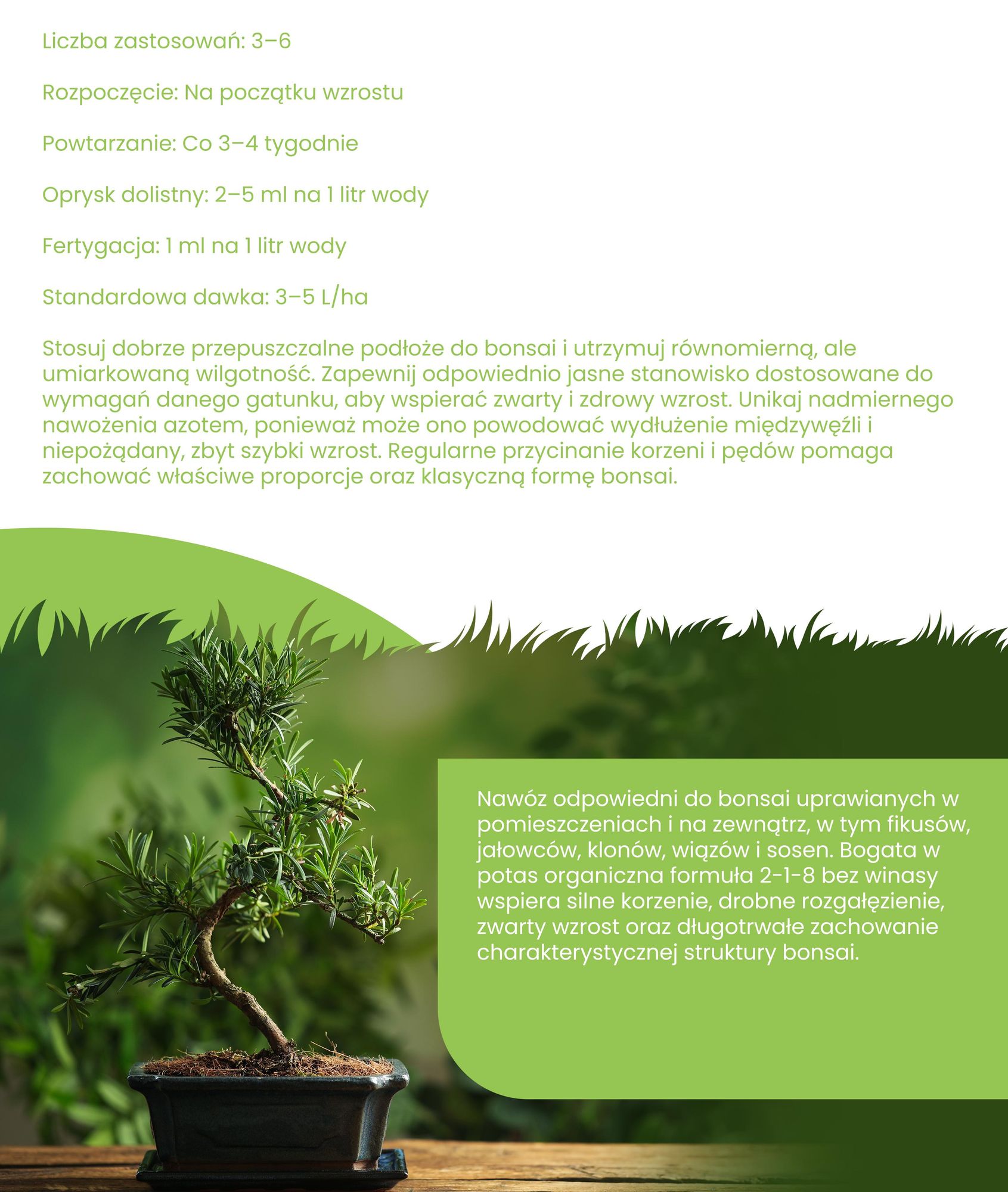 Bonsai Nawóz Płynny 1 L – 2-1-8 NPK – Do Bonsai Rośliny Ozdobne – Do Zdrowe Korzenie i Kompaktowy Wzrost – Podporuje Vitalitu i Strukturę – Organifer