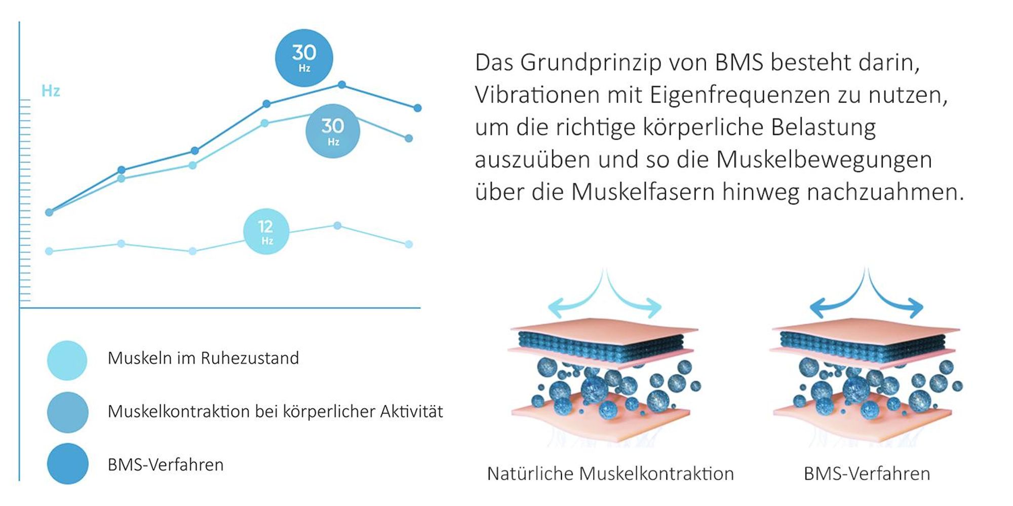 GESS FaceActive Premium BMS Gesichtsmassagegerät - Anti-Aging, Faltenreduktion & Hautstraffung
