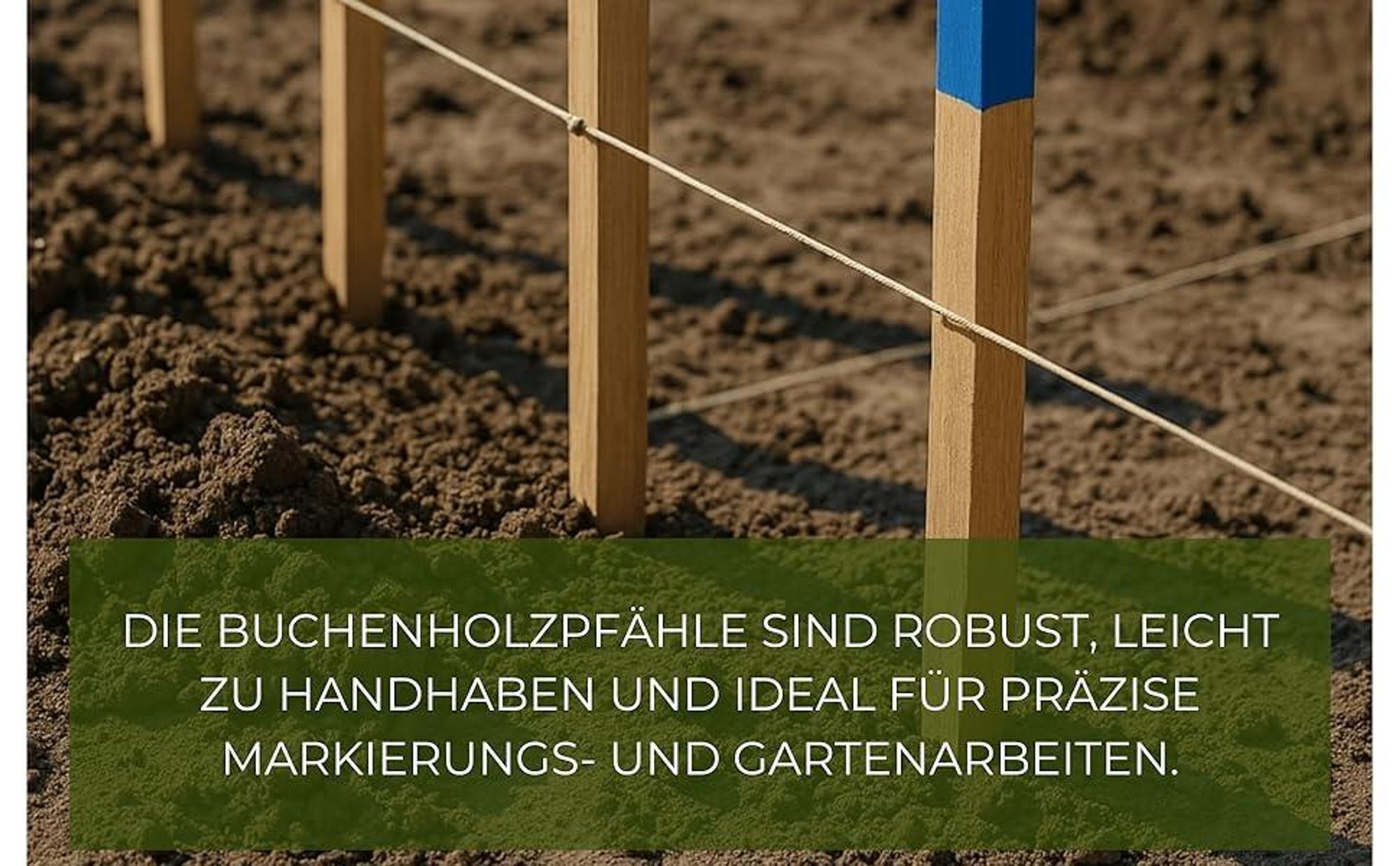 50 Stück Holzpfähle Buche 25x25 mm Länge 120 cm Blau Spitze Markierungspfosten Pflanzstäbe Zaunpfosten