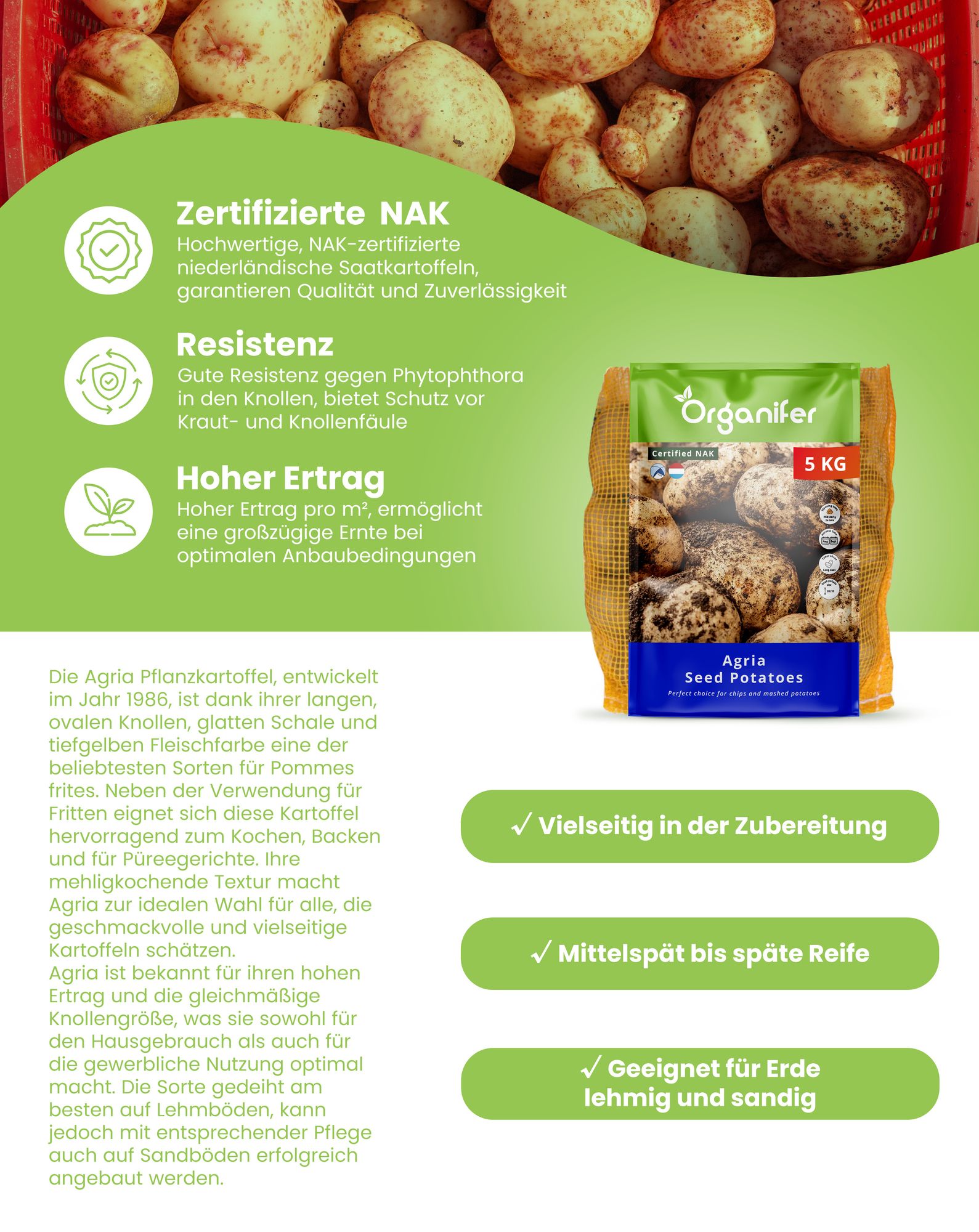 Agria Pflanzkartoffeln 28/35 (10 kg) - Organifer Gemsesaat