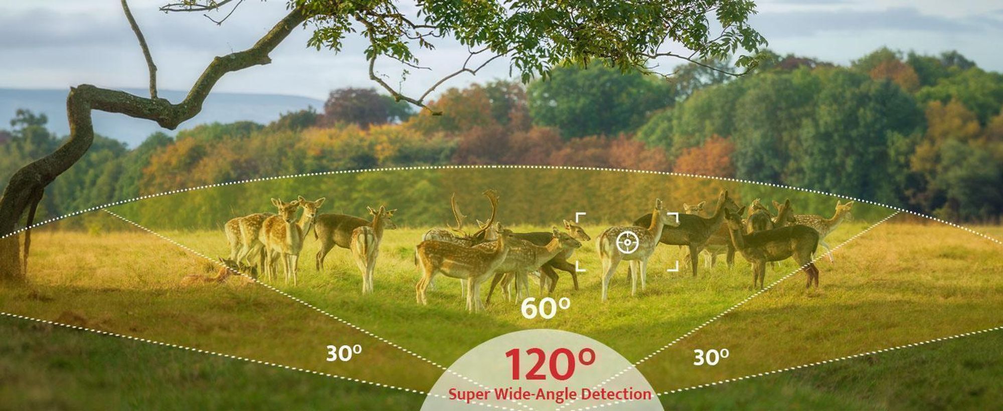 Mit einem Erfassungswinkel von 120° verpassen Sie keinen Moment.