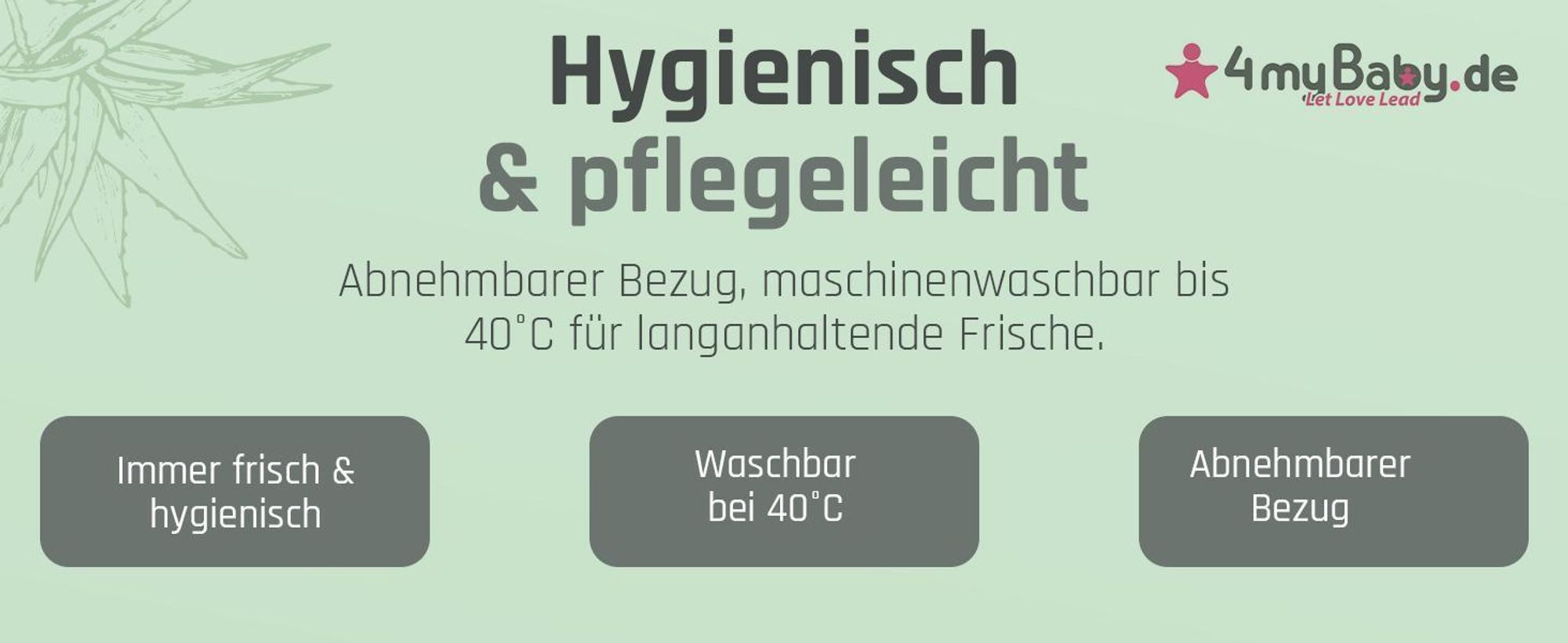Best For You Schaumstoffmatratze ALOE VERA Kinderbettmatratze 15 Größen von 60x120x10 cm bis 200x200x10 cm mit Reißverschluss Aloe Vera 90x200
