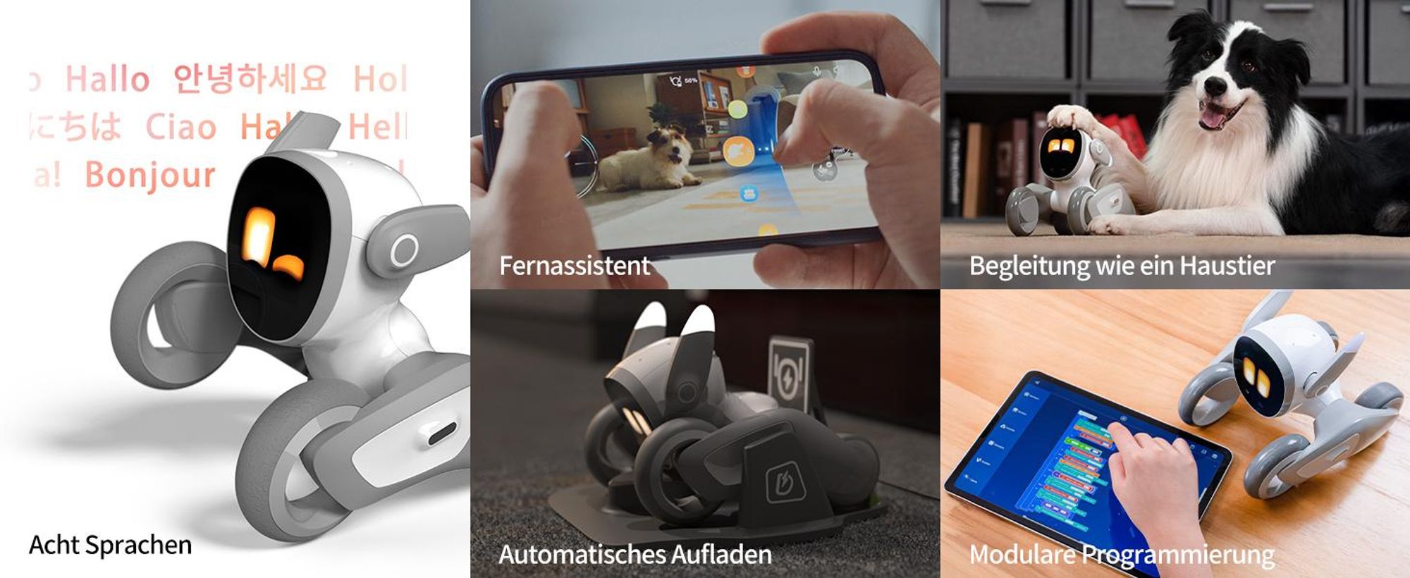 Loona Petbot – Interaktives Roboter-Haustier mit KI – Mehrsprachiges und lehrreiches Spielzeug – Mit Ladestation