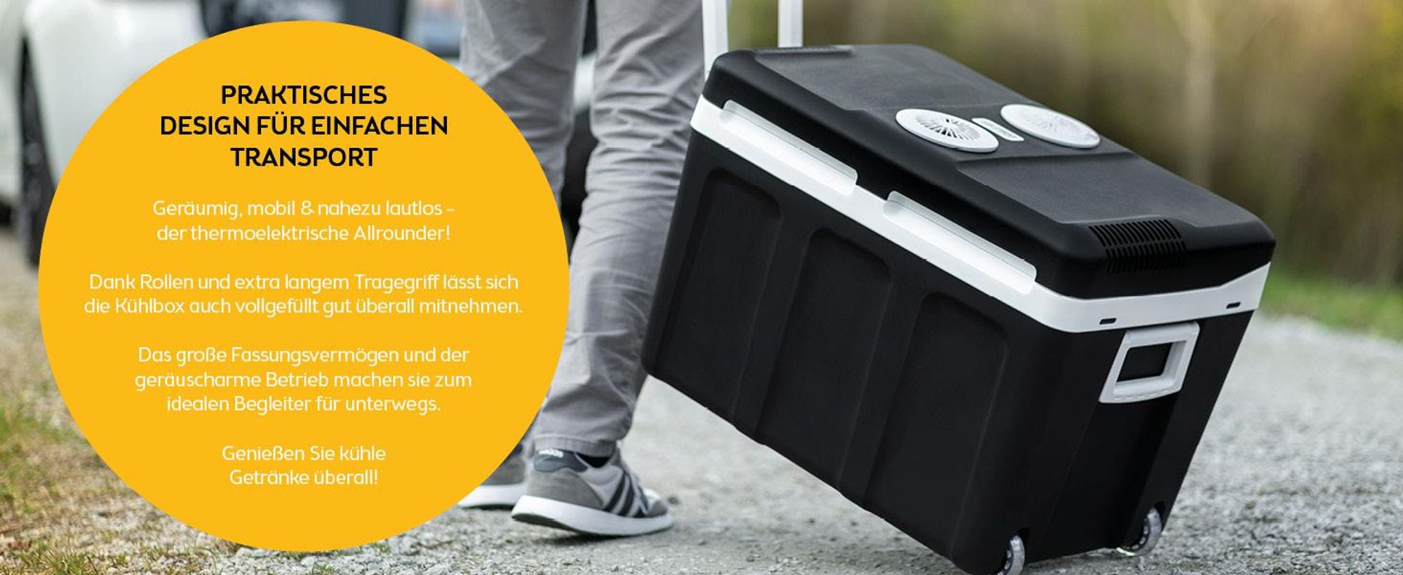 TZS First Austria - Kühlbox 45L elektrisch 12V 230V Anschluss für Auto & Steckdose - Thermoelektrisch - Schwarz