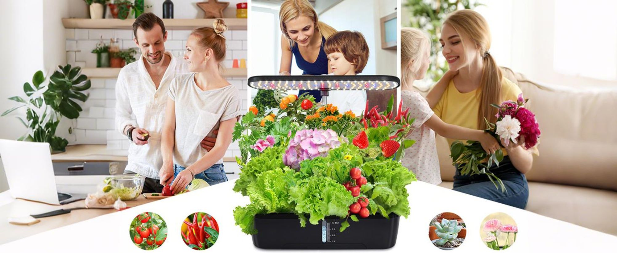 Puluomis Hydroponics Growing System,12 Pods Kit de jardinage d'herbes aromatiques en intérieur avec LED Grow Light Système de jardinage, minuterie automatique, hauteur réglable, réservoir d'eau de 4L