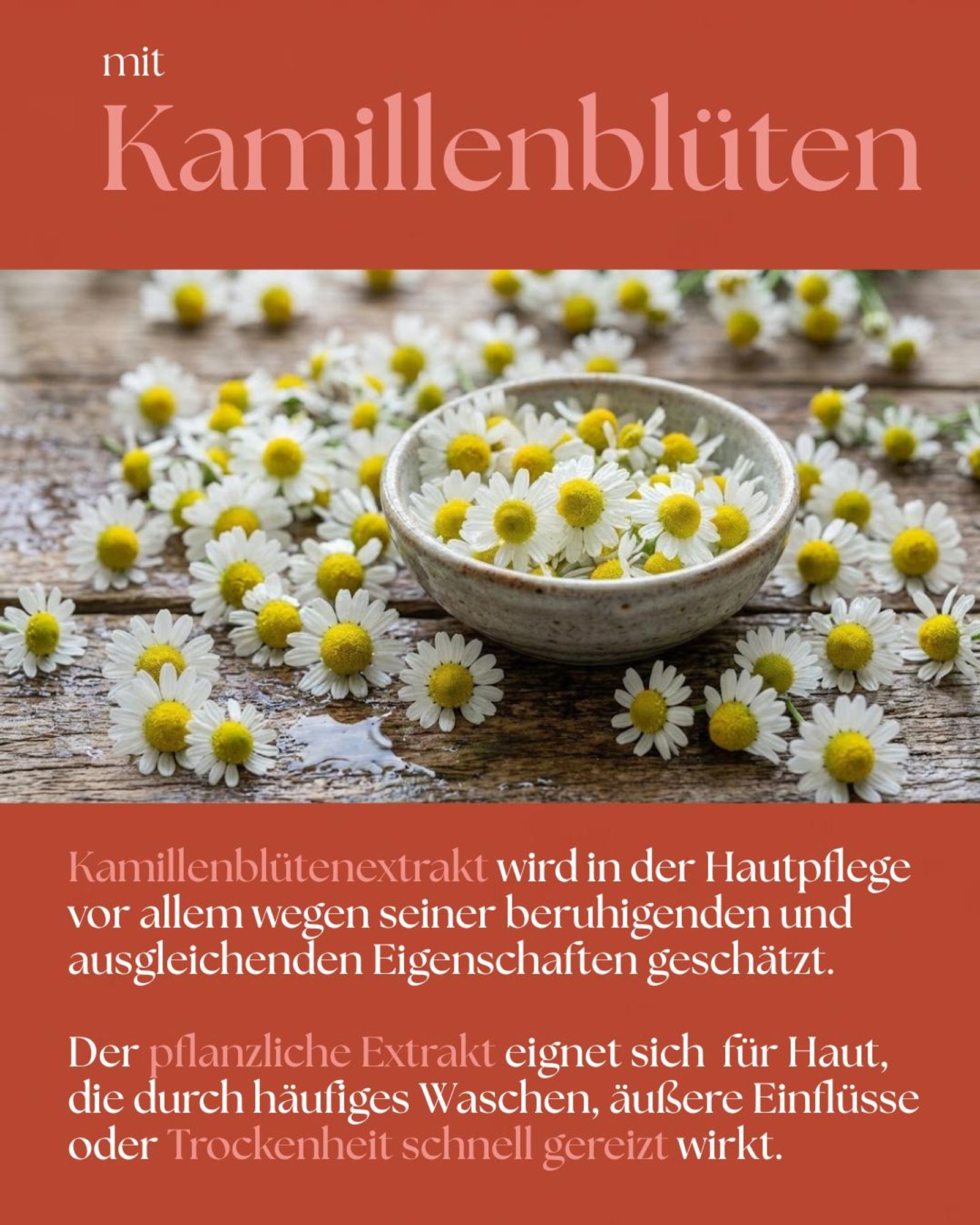 VALENTIN Kosmetik Handcreme Mandarine & Jasmin mit Sheabutter, Aloe Vera, Kamillenblütenextrakt & Vitamin E 300ml