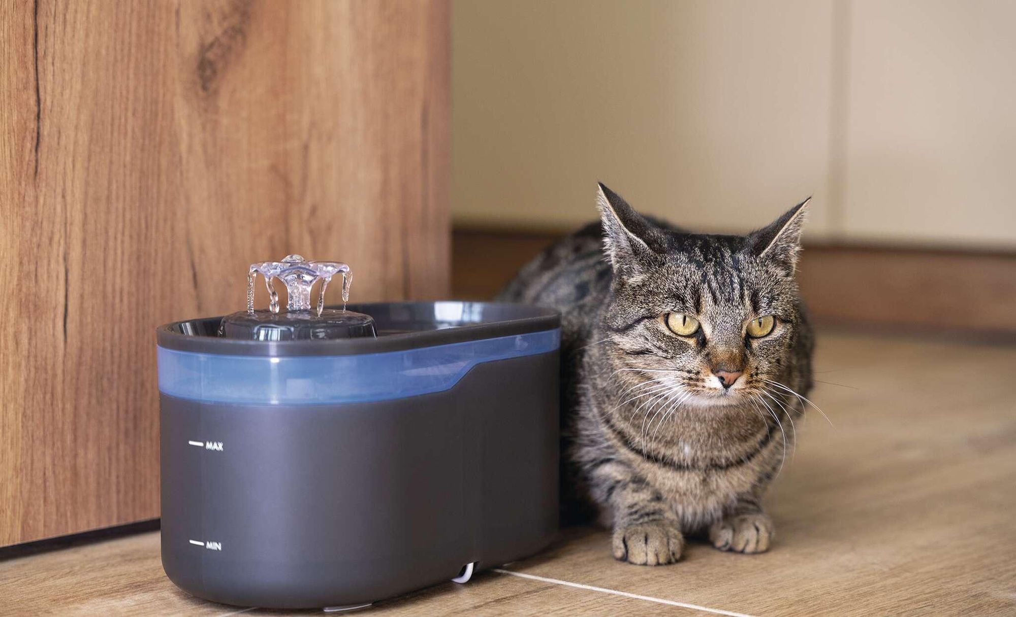 EMOS Ersatzpumpe für Katzenbrunnen inkl. Ladekabel und Schaumfilter, Pet Care Wasserpumpe geeignet für Wasserbrunnen EMOS H6101, weiß, H6902