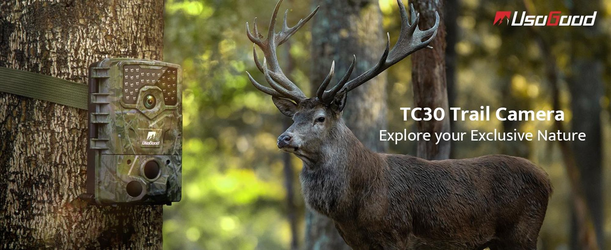 TC30 3 PIR 120° Erkennungsbereich Nachtsicht Jagdkamera