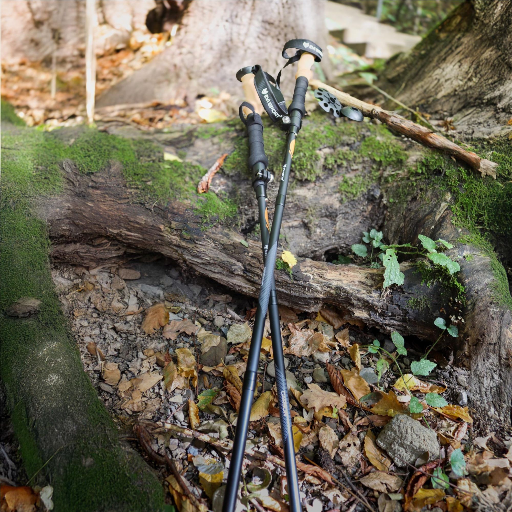 KIJE TREKKINGOWE do Chodzenia Kijki NORDIC WALKING CARBON Włókno Węglowe | KARBONOWE, lekkie, solidne, regulowane, korkowe uchwyty, stabilne
