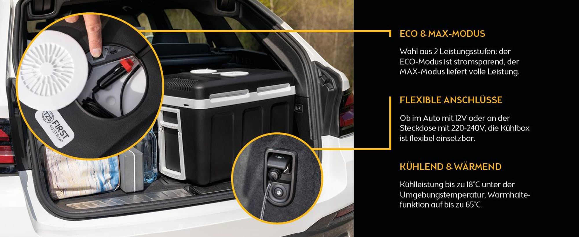 TZS First Austria - Kühlbox 45L elektrisch 12V 230V Anschluss für Auto & Steckdose - Thermoelektrisch - Schwarz