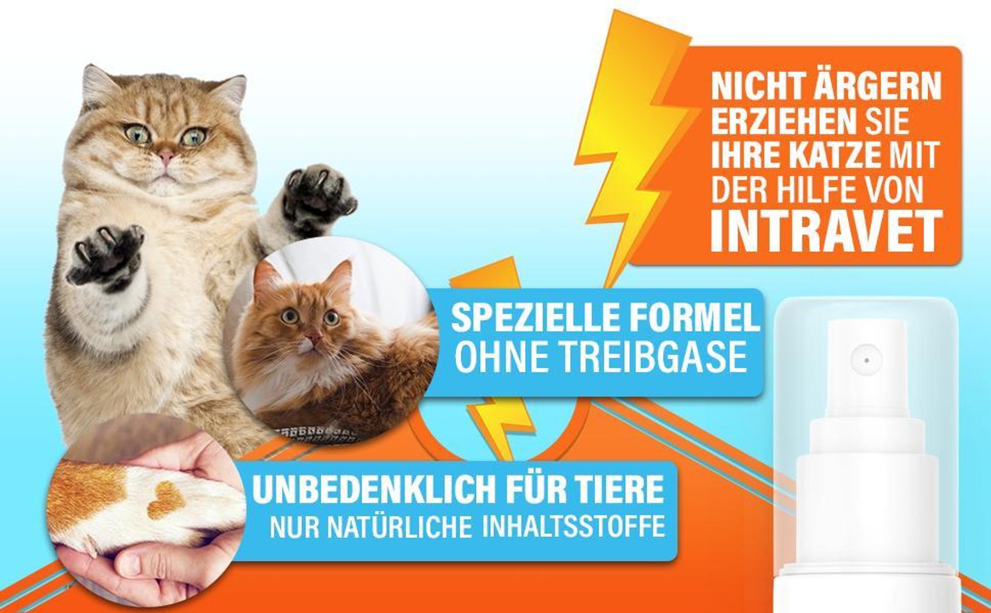 Intravet® Katzen Abwеhr Spray – Katzenspray – Fernhaltespray – für Katzen – Anti Kratz Spray - Katzenabwеhr – zum Vertreiben von Katzen