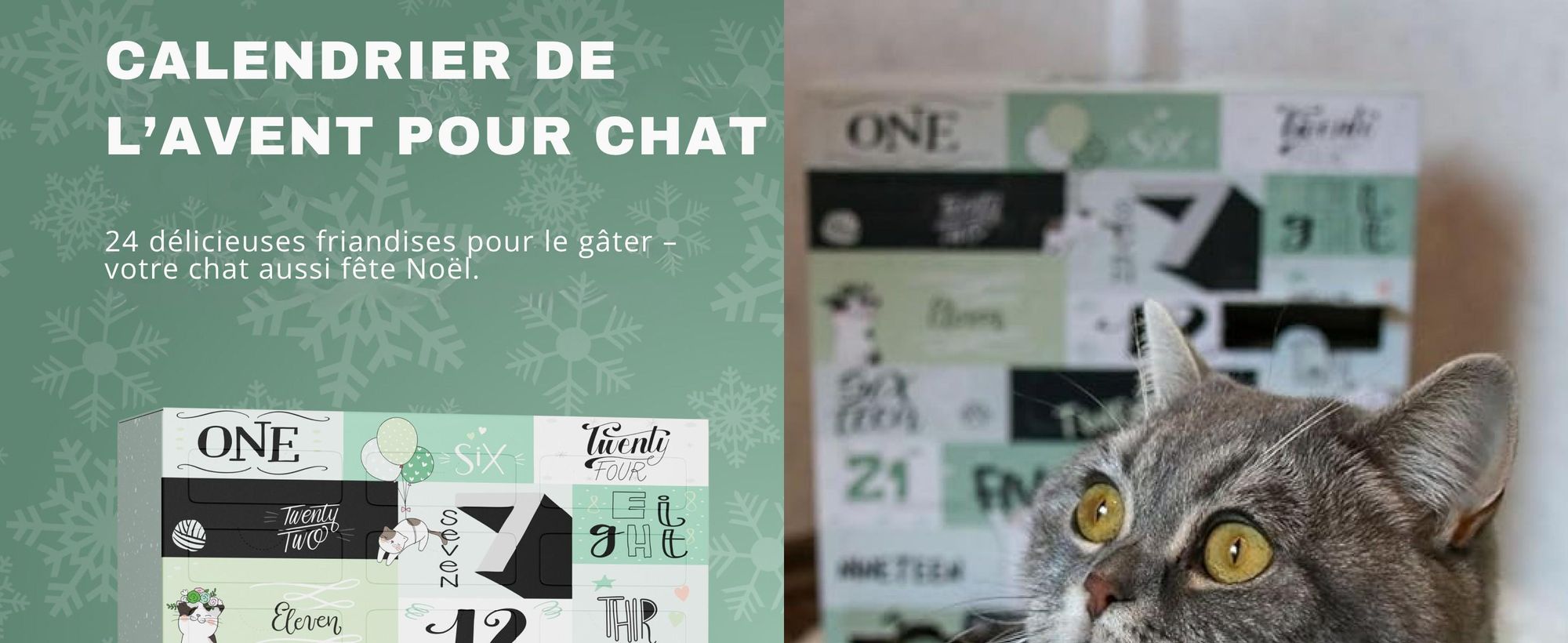 BOXILAND® calendrier avent chat 2026, 24 snacks, friandises, 16 variétés