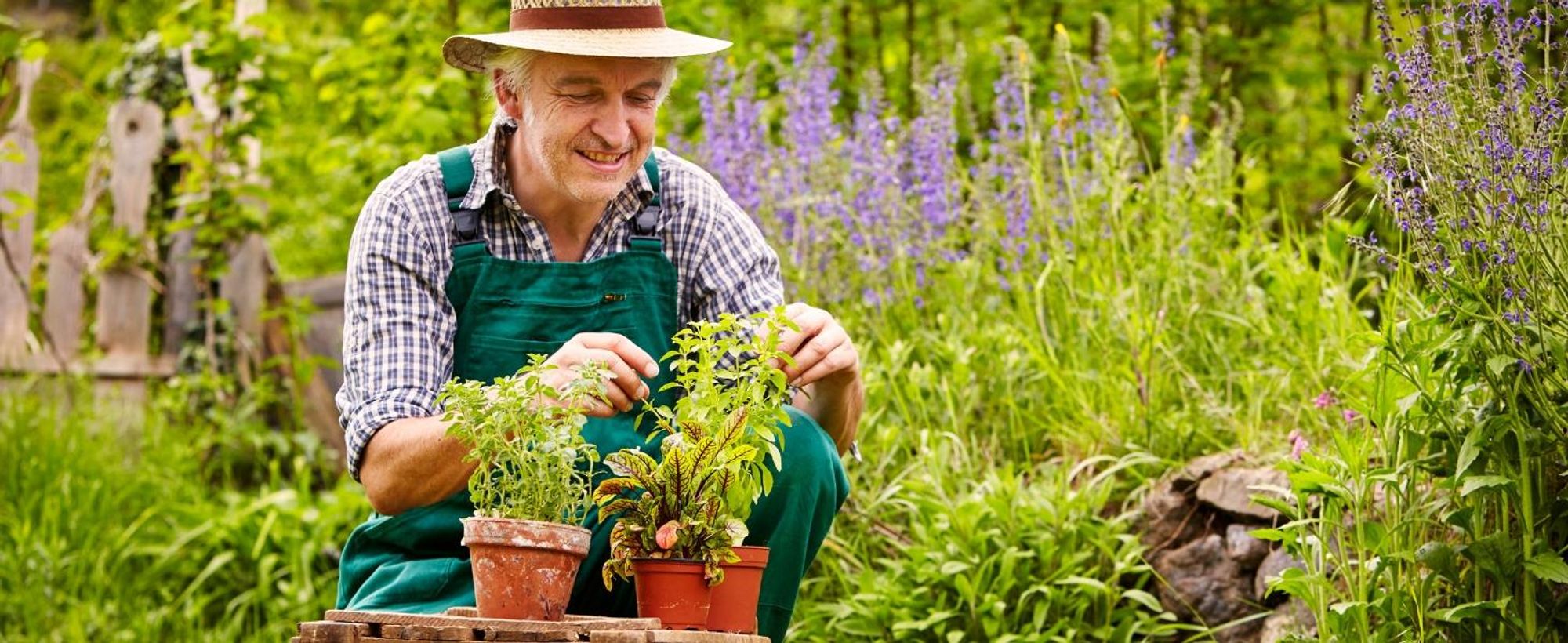 GreenPanda Schafwollpellets Dünger - 4kg Organischer Langzeitdünger - Schafwolle Dünger für Garten, Haus & Zimmerpflanzen mit KALI-BOOST