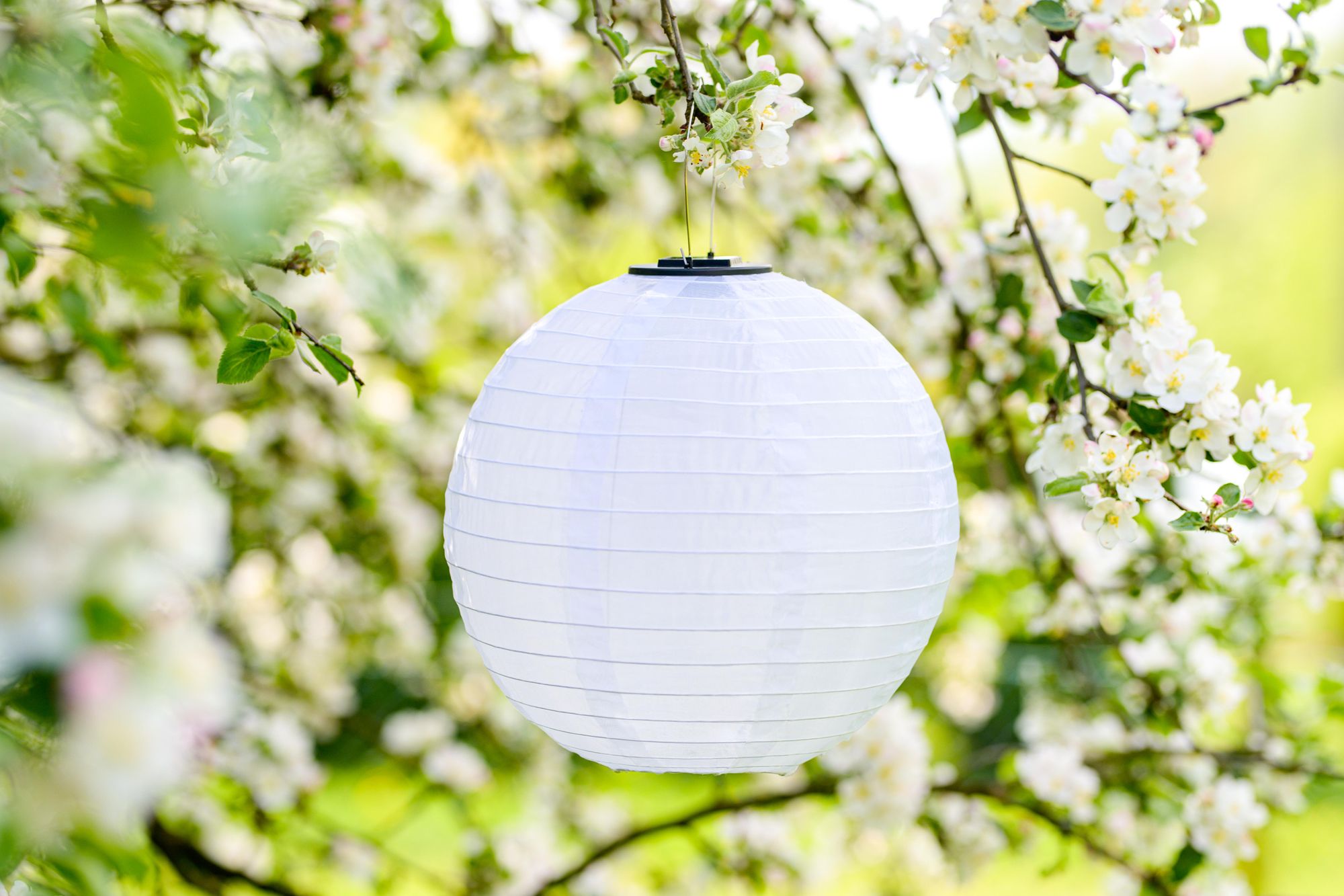 LUMILED Solar Lampions Außen, 4x wetterfest Solarlaterne Laterne, Ø30cm LED Lampion Solarleuchte IP44 Kugel weiß Hängend Dekorative wetterfest