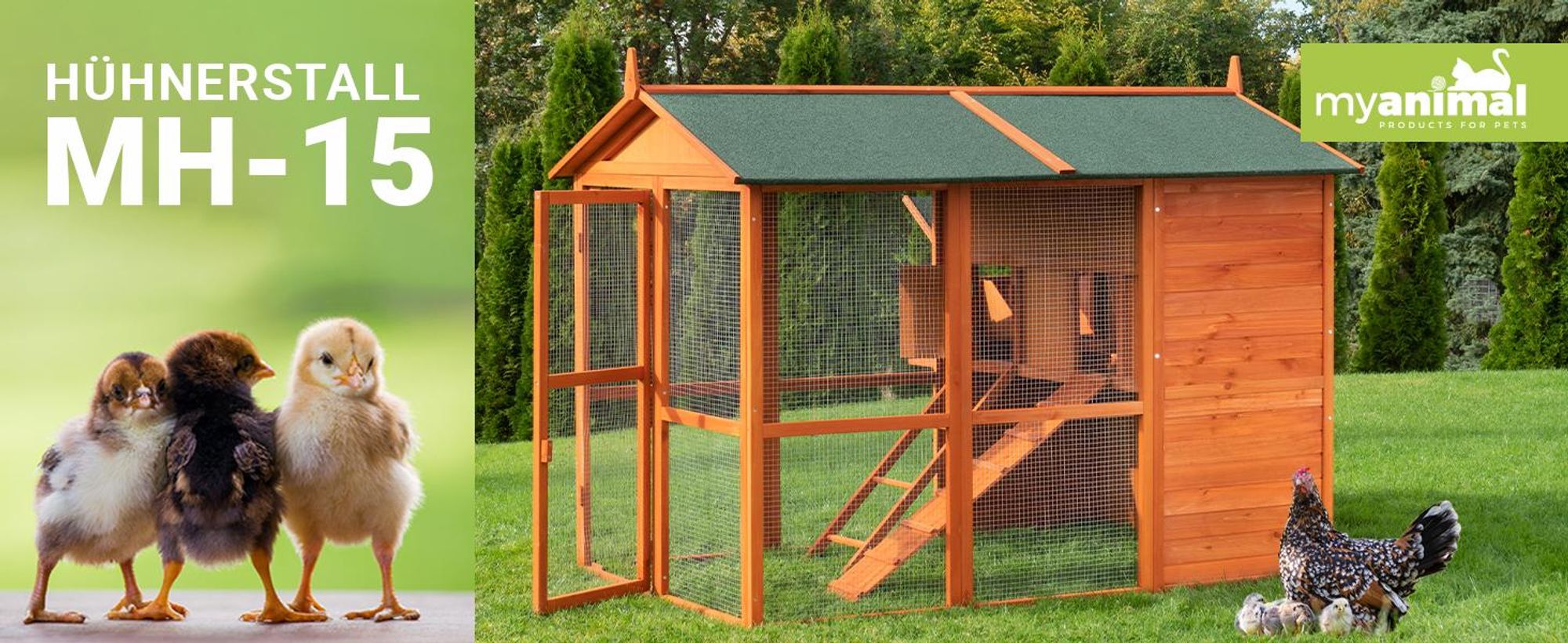 MyAnimal XXL Hühnerstall MH-15 | Bis zu 7 Hühner - Aufklappbarer Nistkasten - Auslauf - Zwei Etagen - Hühnergehege - Freigehege - Sitzstange (Braun)