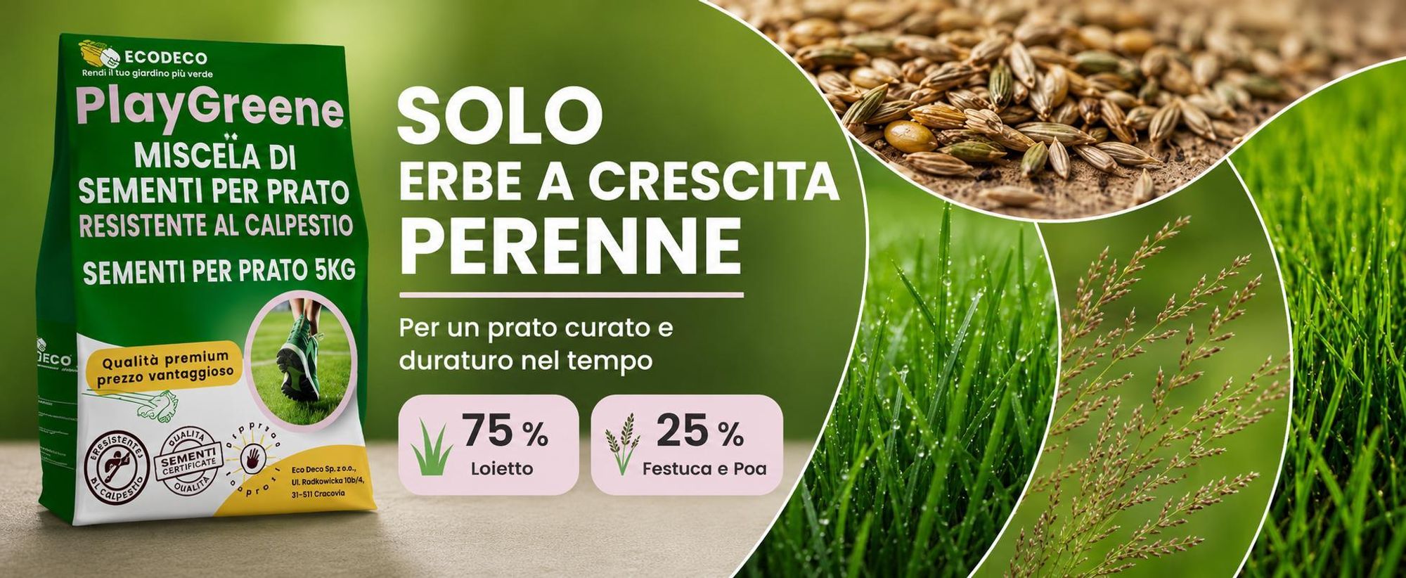 EcoDeco semi per prato, sementi per prato calpestabile resistente, miscela rigenerante e autoaddensante, 5 kg