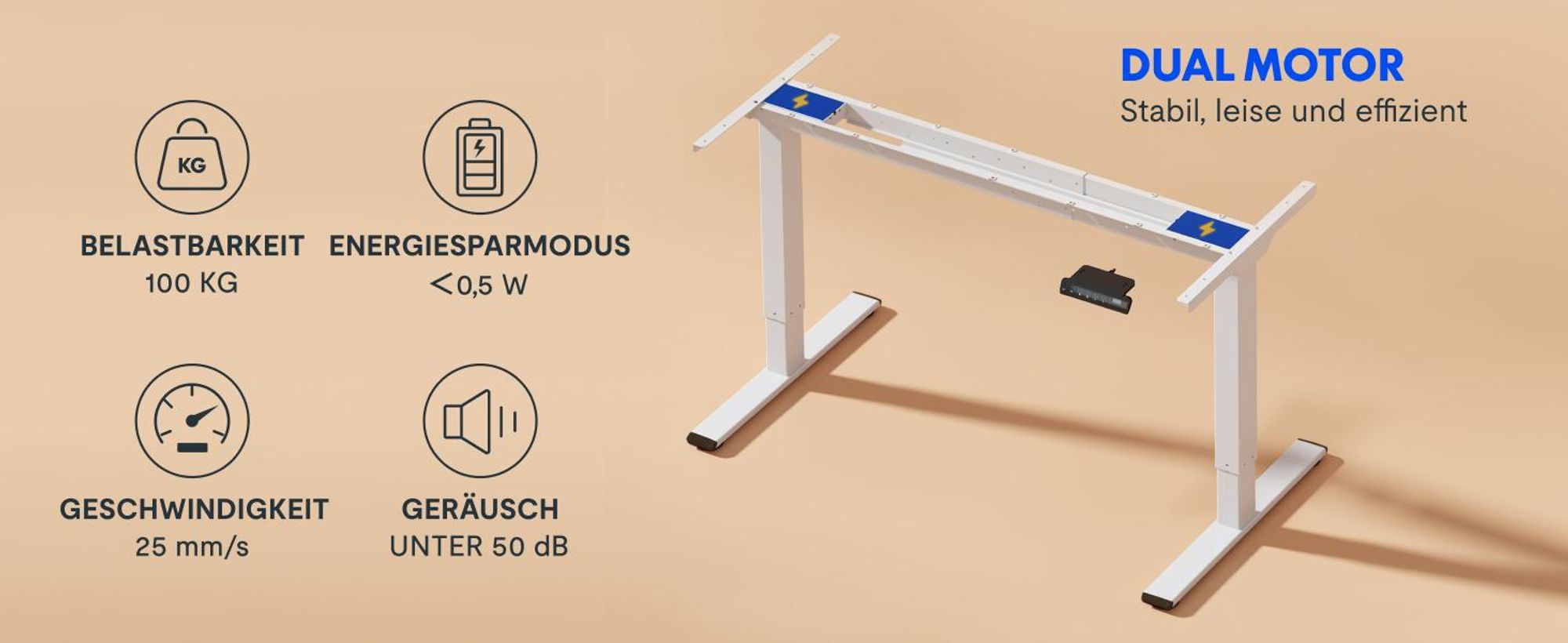 FLEXISPOT Höhenverstellbarer Schreibtisch 160x80cm, Bambus-Tischplatte, 2 starke Motoren, 120 kg Tragkraft, 4 Speicherplätze, Premium-Zubehör-Set Weiß