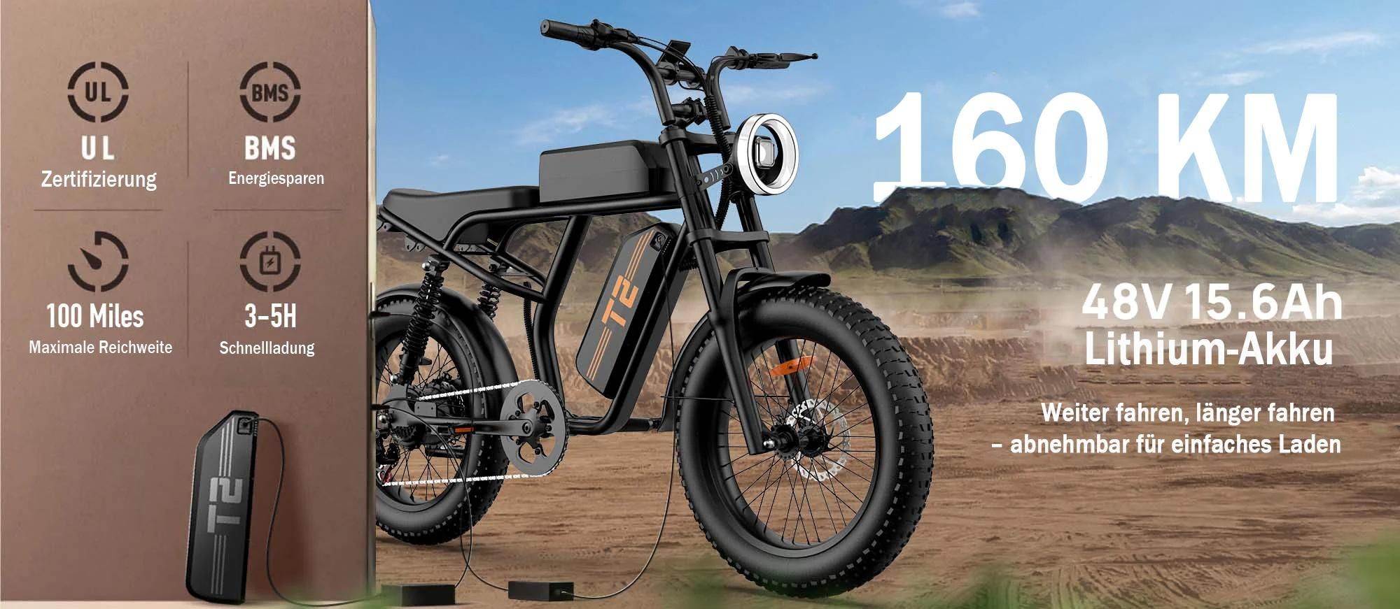 URLIFE T2 Elektrisches Fahrrad - Motor250W Batterie 48V 15.6Ah mit Scheibenbremse Trittunterstützung - Schwarz