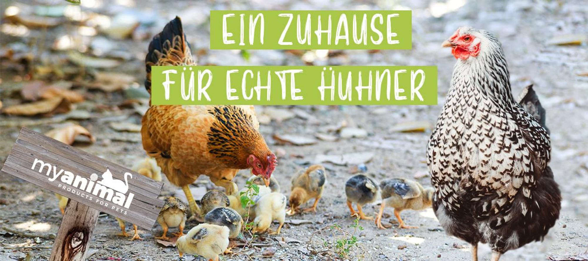 MyAnimal Hühnerstall MH-32 | Für 4 Hühner - Hühnerhaus Zweistöckig  - 2 Sitzstangen  -  Nistkasten - Eiablage - Freilaufgehege (Rot/Weiß 2.0)