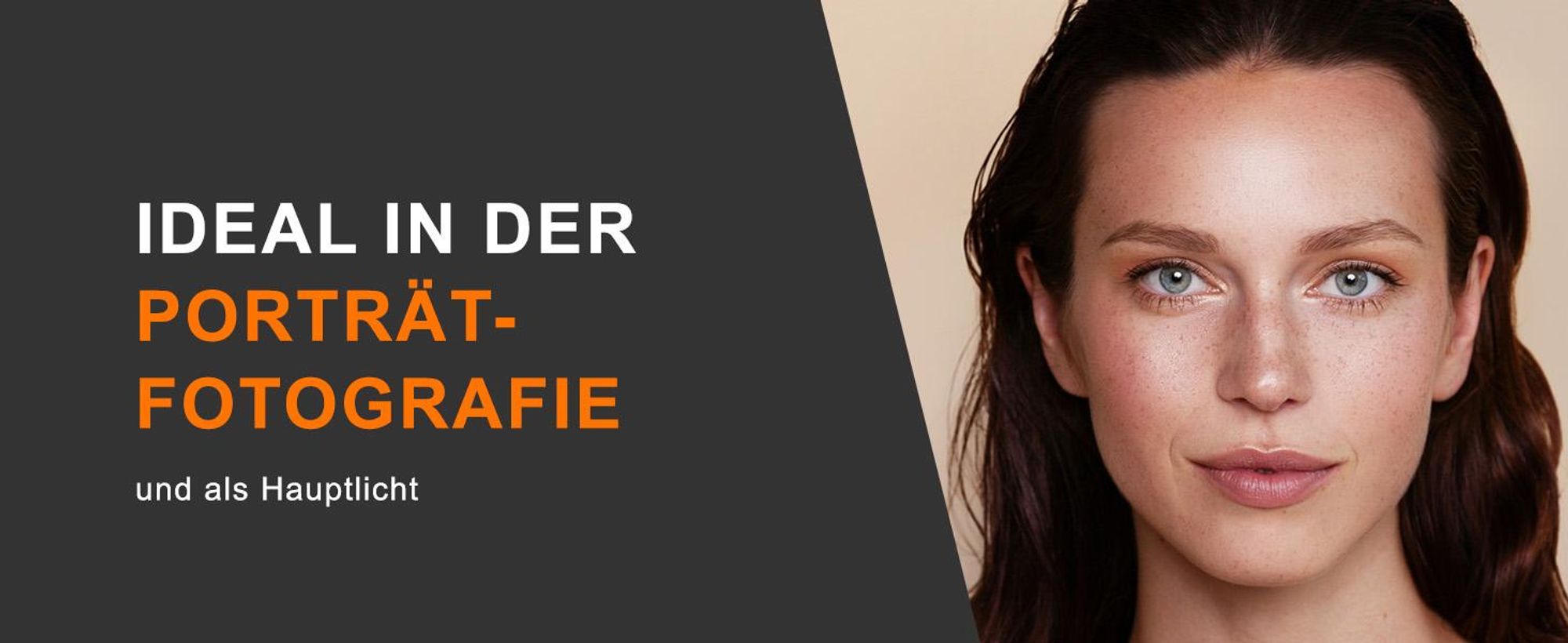 Walimex pro 2in1 Reflex- und Durchlichtschirm weiß, Fotoschirm 109 cm Durchmesser, robuster Reflexschirm mit Stange und Spitze aus Metall, Lichtformer für weiche Lichtcharakteristik