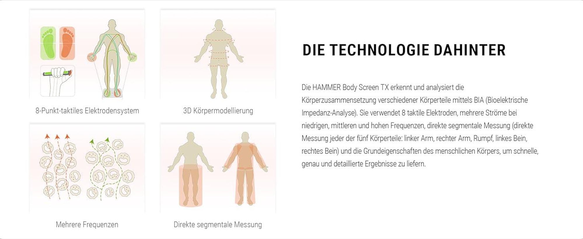 HAMMER Körperanalysewaage Body Screen TX, weiß, 8 Sensoren, 15 Messungen inkl. App