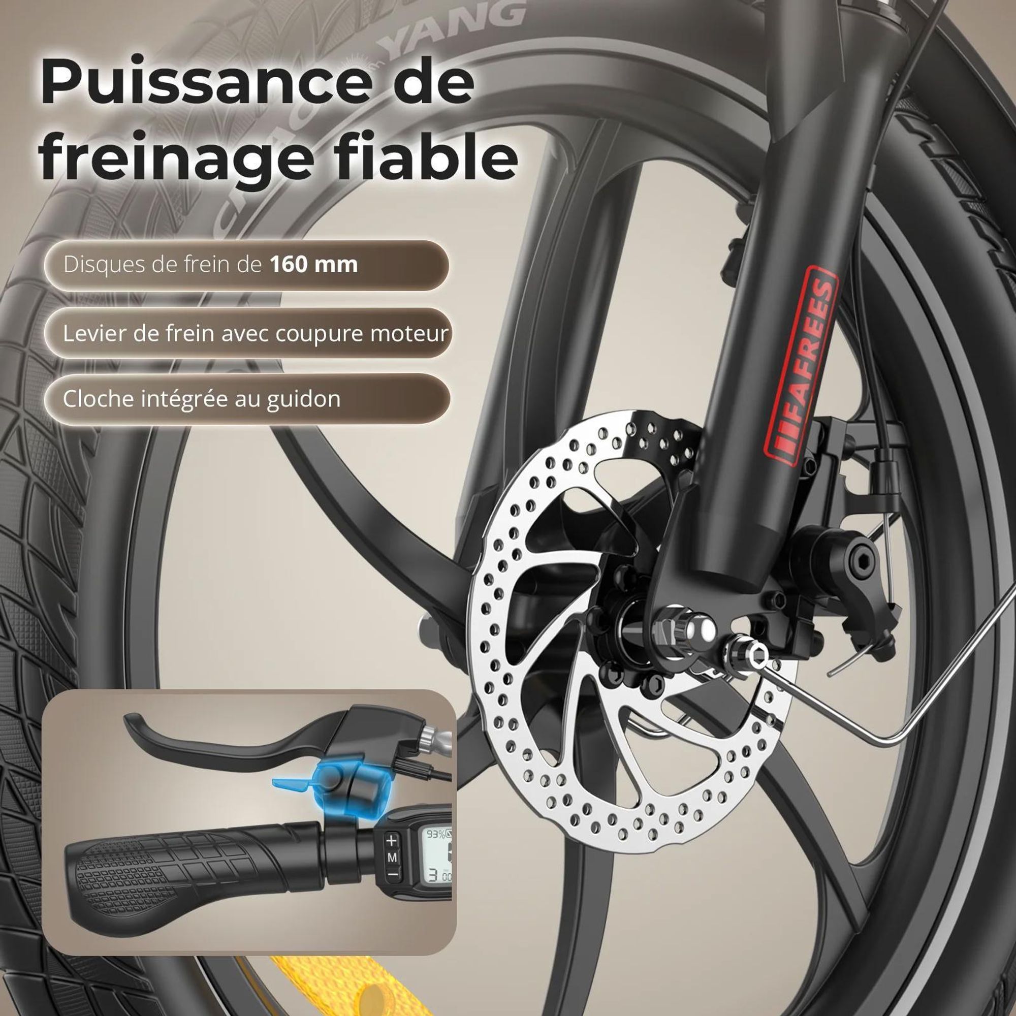 Vélo Électrique FAFREES F20+ - Moteur 250W Batterie 36V20Ah Pneus De 20 Pouces Frein à Disque Mécanique - Noir