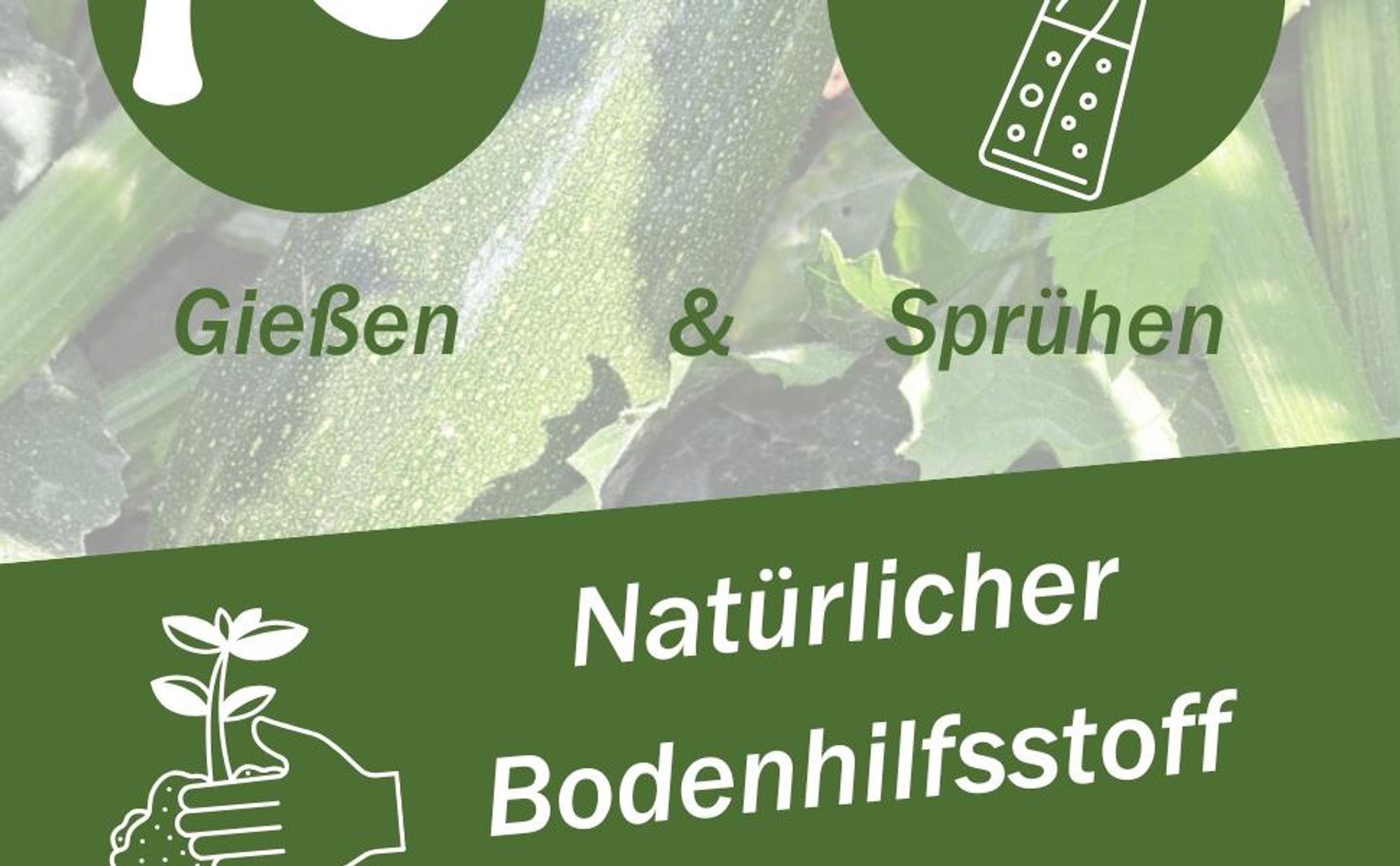 GreenPanda Gurken & Zucchini Dünger - Phosphor Kalium Dünger - Intensiviert Geschmack & Ernte! 1 Liter Gurkendünger - Zucchinidünger