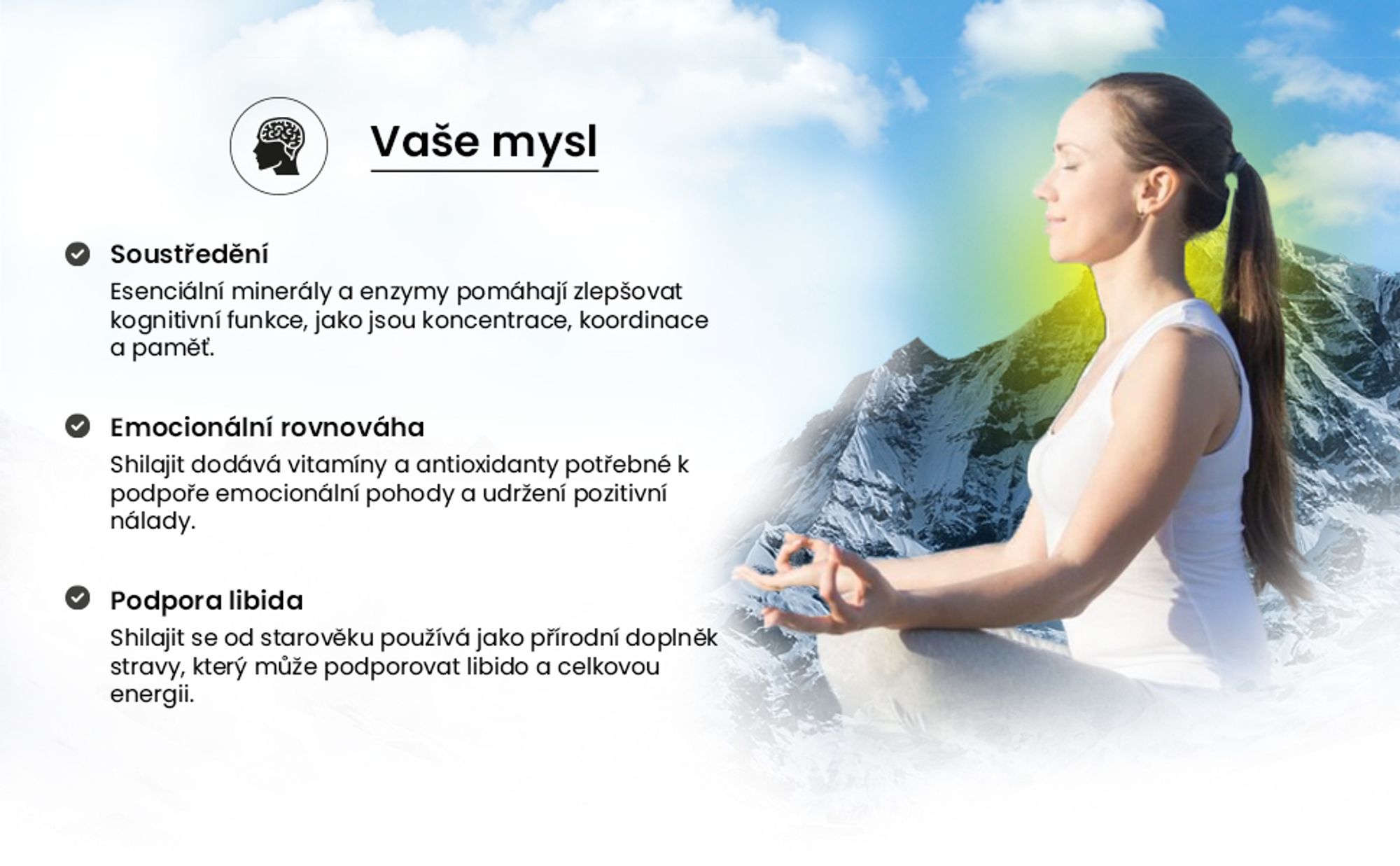 shilajit pro mysl