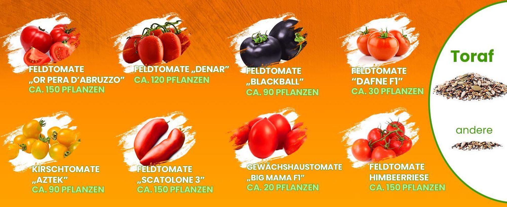 Toraf Tomaten Saatgut Set XXXL, 8 Sorten, ca. 800 Pflanzen, Garten & Gewächshaus