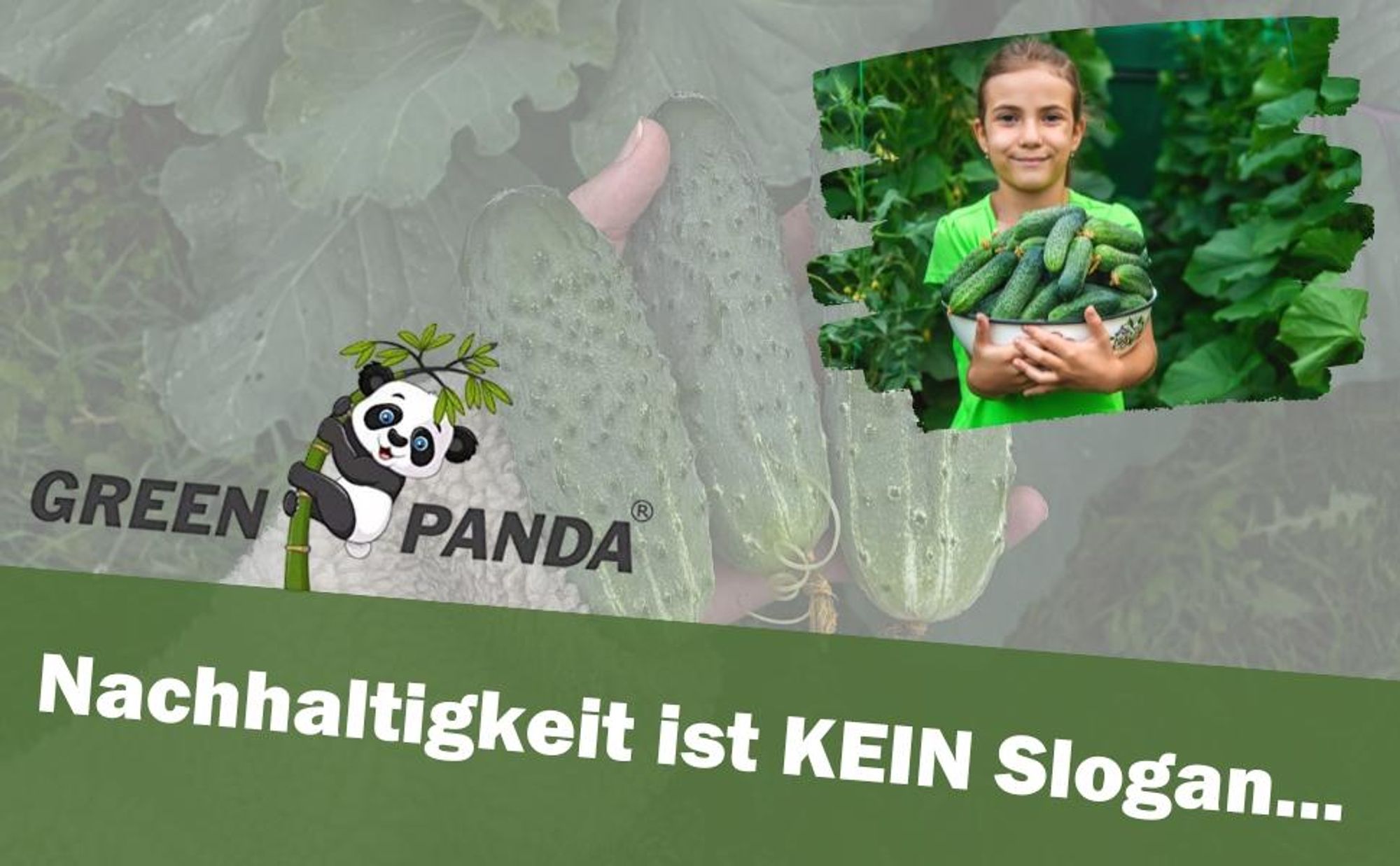 GreenPanda Gurken & Zucchini Dünger - Phosphor Kalium Dünger - Intensiviert Geschmack & Ernte! 1 Liter Gurkendünger - Zucchinidünger