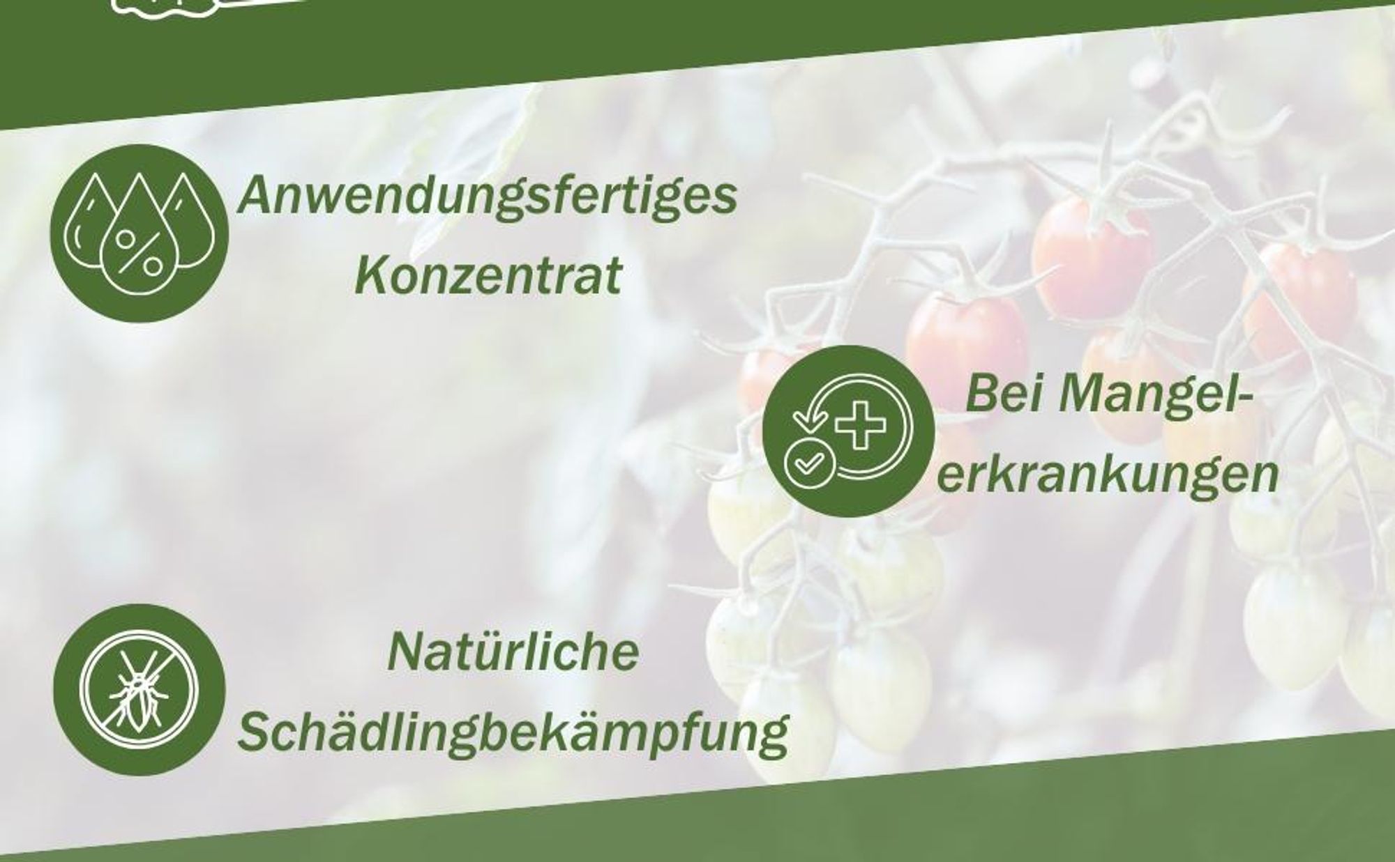 GreenPanda  Calciumdünger für Tomaten - Tomatendünger - Verbessert Ernte & Geschmack! - 1 Liter  Tomatendünger