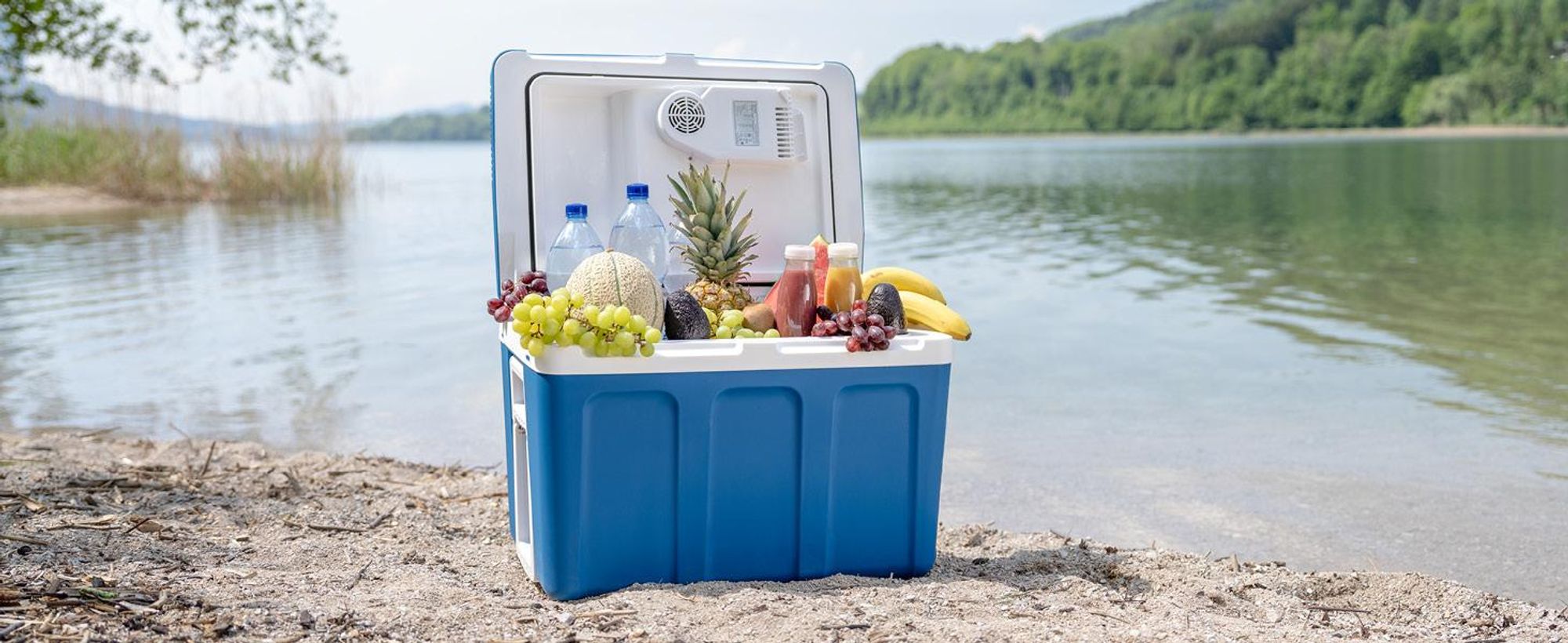 TZS First Austria - Kühlbox 45L elektrisch 12V 230V Anschluss für Auto & Steckdose - Thermoelektrisch - Blau