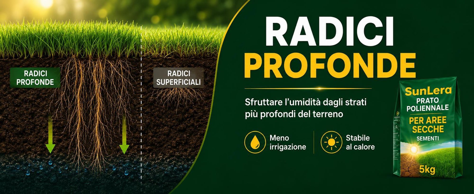EcoDeco semi per prato, miscela per prato resistente alla siccità e semi prato soleggiato, 5 kg per 200 m²