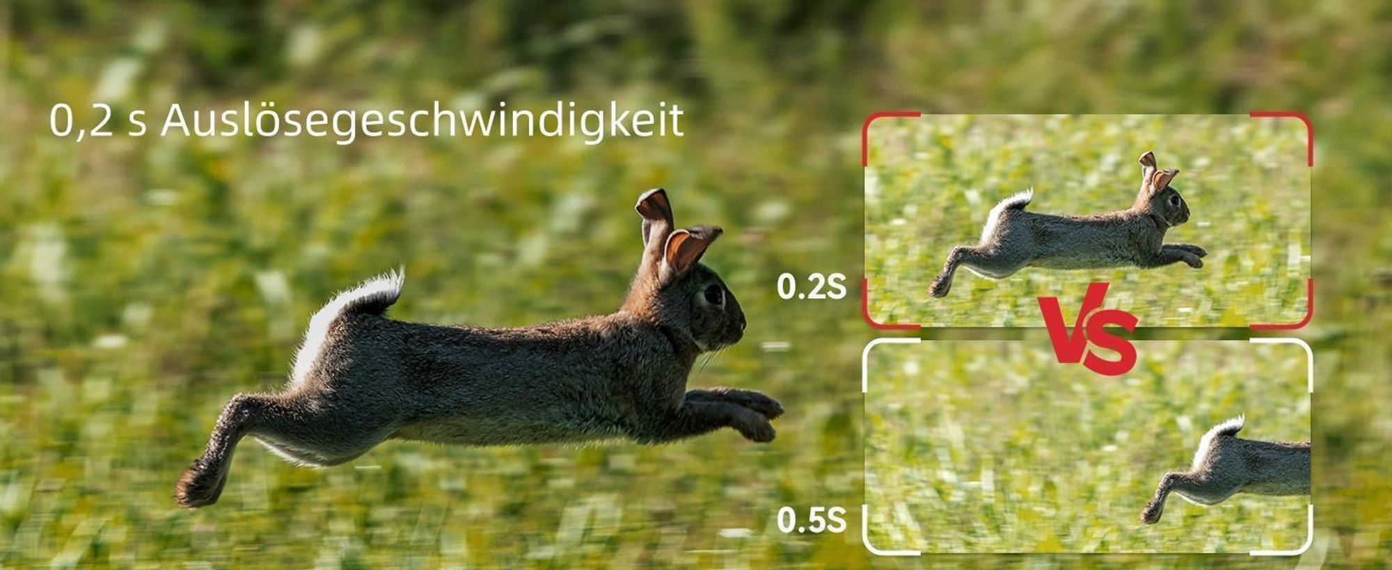4K Wildkamera mit Handyübertragung App Wildkamera Wlan mit Bewegungsmelder Nachtsicht Wasserdicht 0,5S Auslösen Inklu 32GB SD-Karte 8 AA-Batterien