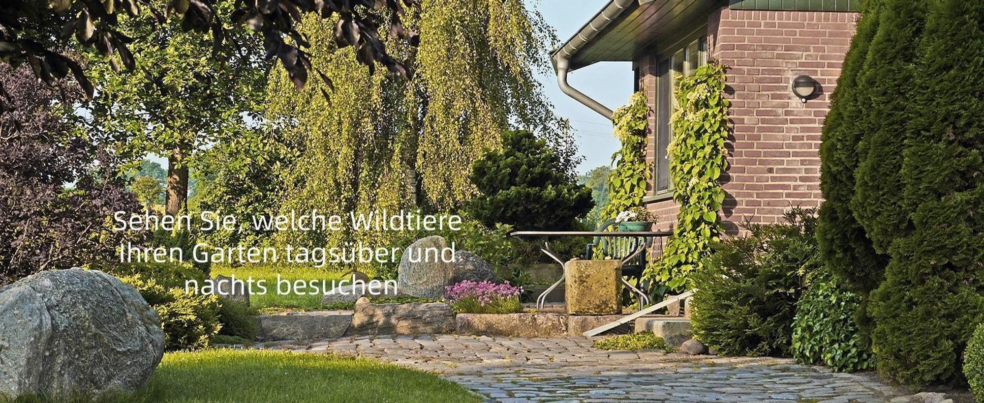 Usogood Wildkamera 4K 36MP, Wildtierkamera mit 32GB Karte, Bewegungsmelder Nachtsicht,2Stk