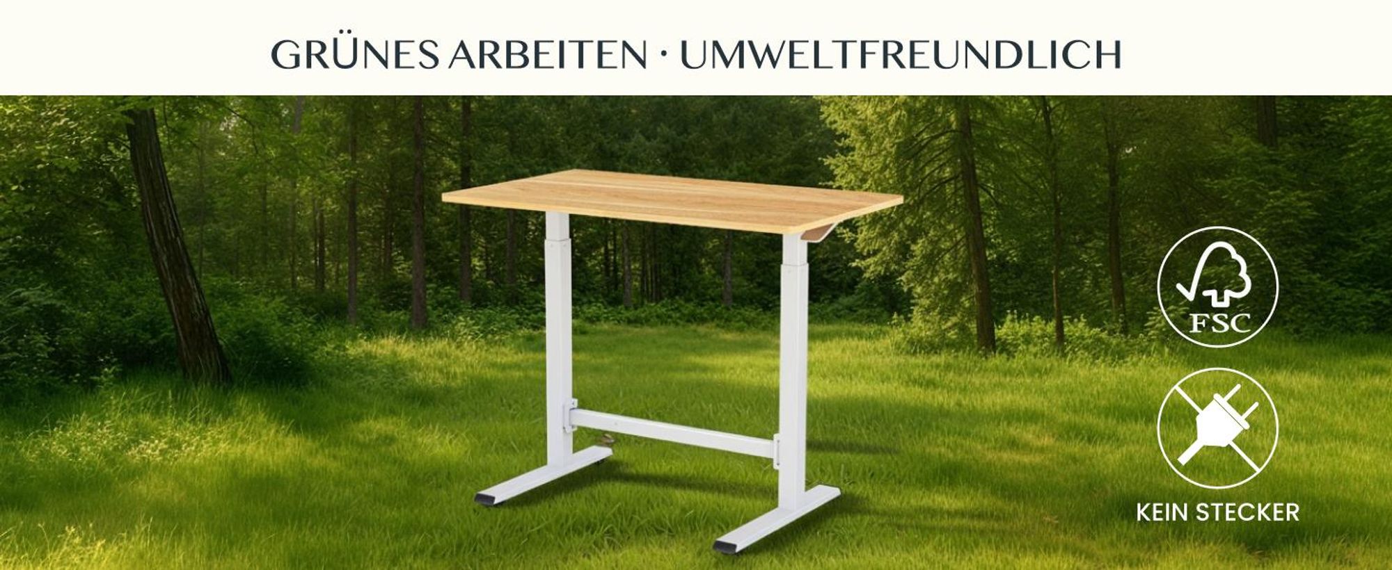 FLEXISPOT Gasfeder Höhenverstellbarer Schreibtisch 100×60 cm – stufenlos manuell verstellbar, Steh-Sitz-Tisch ohne Strom, mobil mit Rollen (Ahorn)